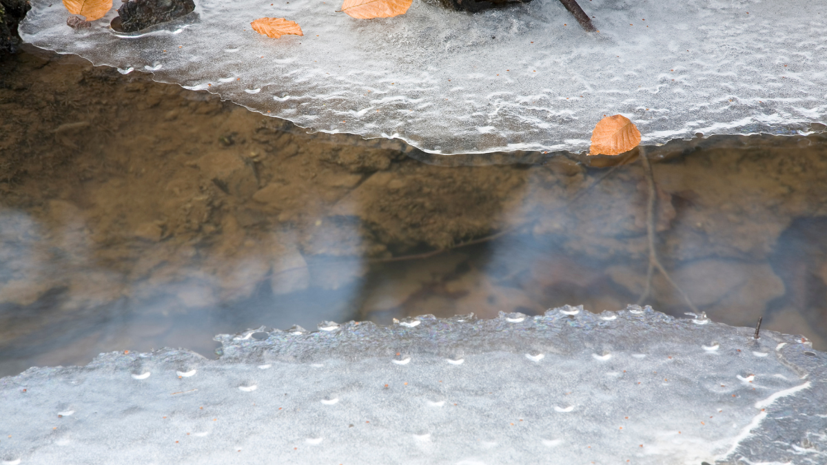 Learning to Thaw: What I've Unlearned About ‘Having It All Together’