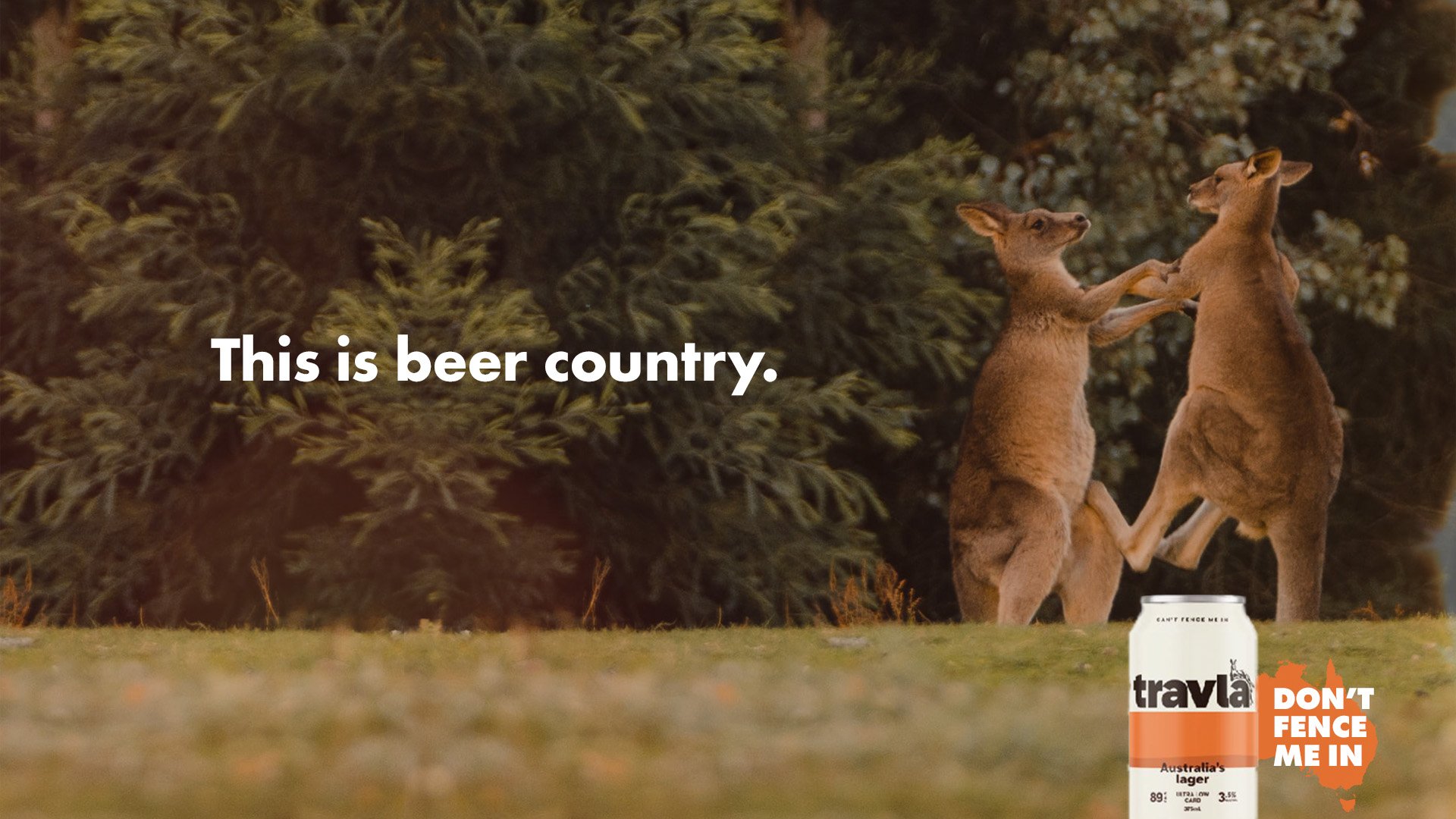 Two kangaroos fighting in a grassy area with trees in the background. Overlaid text reads 'This is beer country.' A can of beer with the Trava logo and a slogan 'Don't Fence Me In' is visible in the bottom right corner.
