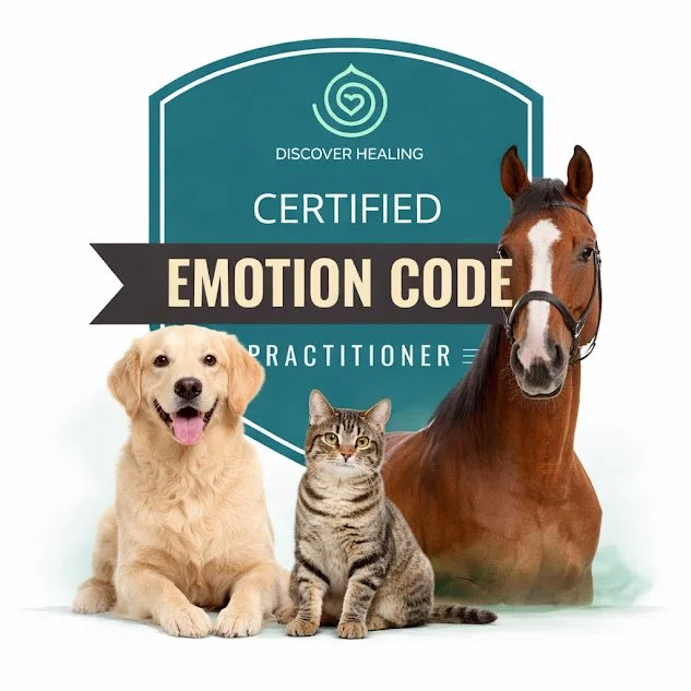 Certified Emotion Code® Practitioner badge with dog, cat and horse representing Emotion Code® sessions for pets