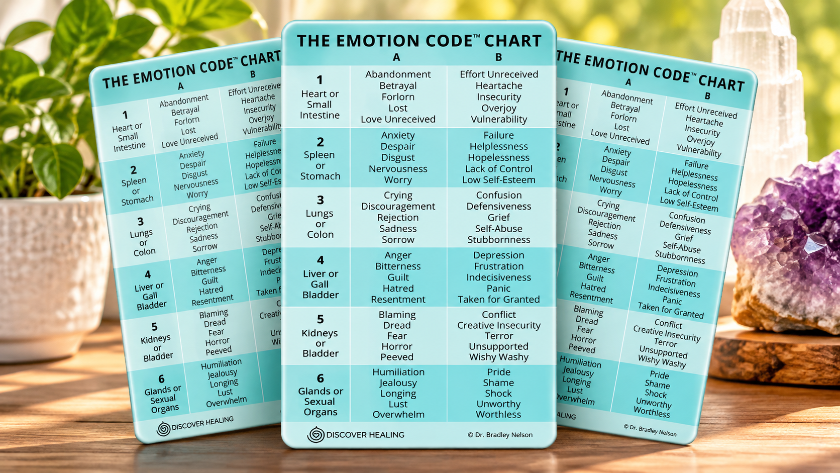 Discover Healing Emotion Code Chart magnets by Dr. Bradley Nelson, featuring 60 trapped emotions used in Emotion Code energy healing, displayed with amethyst crystals and greenery.