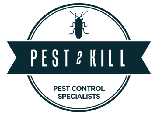 Sydney FC Foundation Partners with Pest2Kill