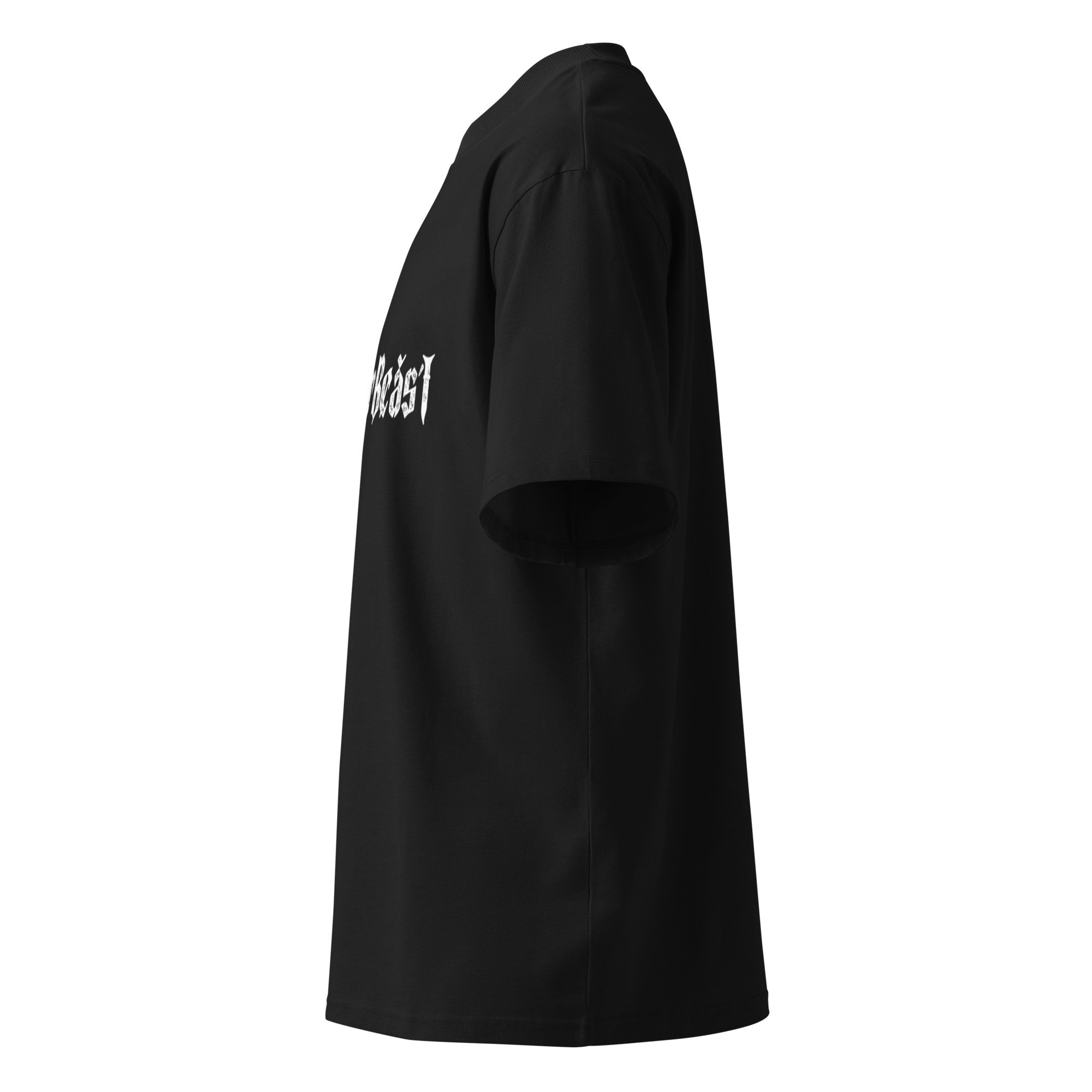 unisex-organic-oversized-high-neck-t-shirt-black-left-6842d63dbcf53.jpg