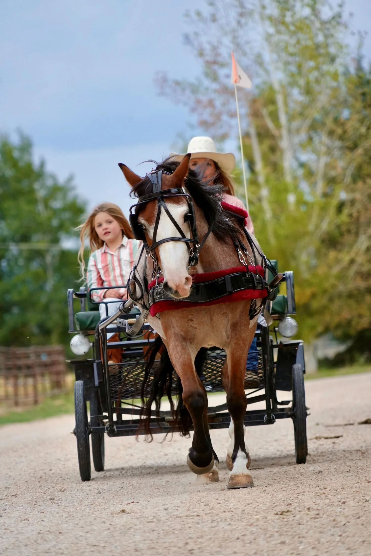 june-buggy-2.jpg