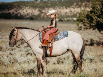 grulla-gypsy-cross.1751416269_6.webp