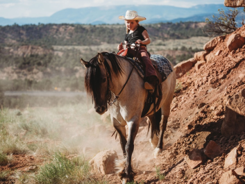 grulla-gypsy-cross.1751416269_7.webp