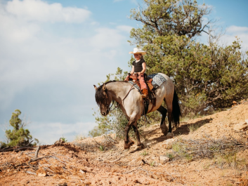grulla-gypsy-cross.1751416269_3.webp