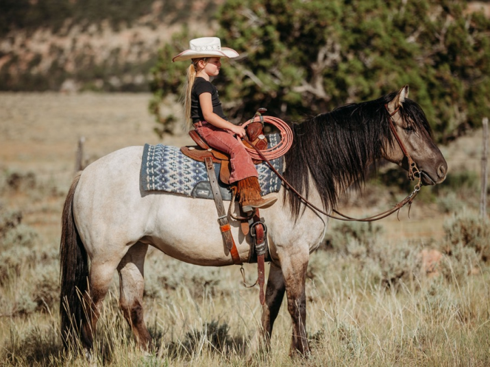 grulla-gypsy-cross.1751416269_5.webp