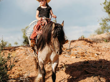 grulla-gypsy-cross.1751416269_4.webp