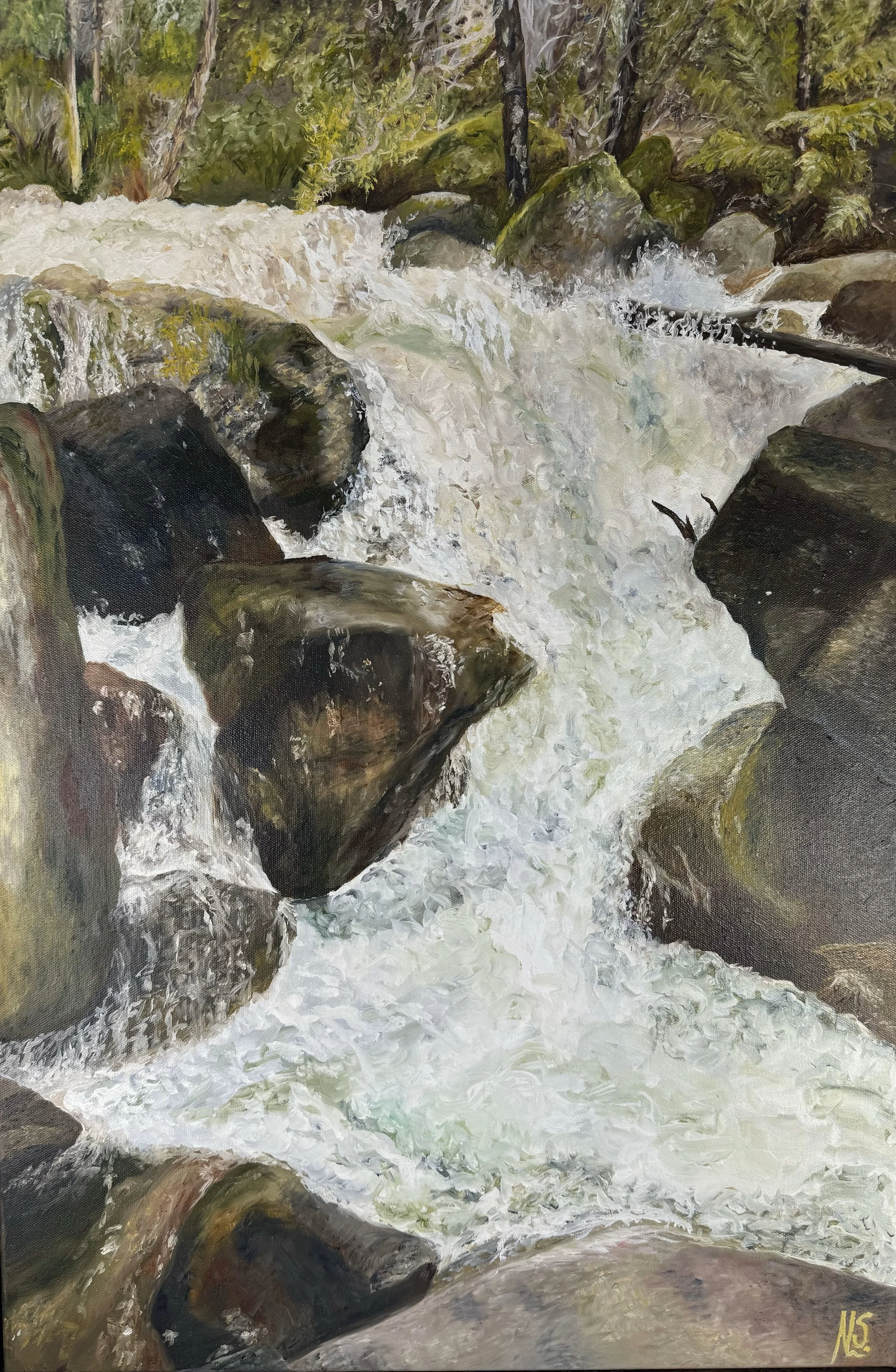 Buffalo - 51 X 76cm + Frame - $1395