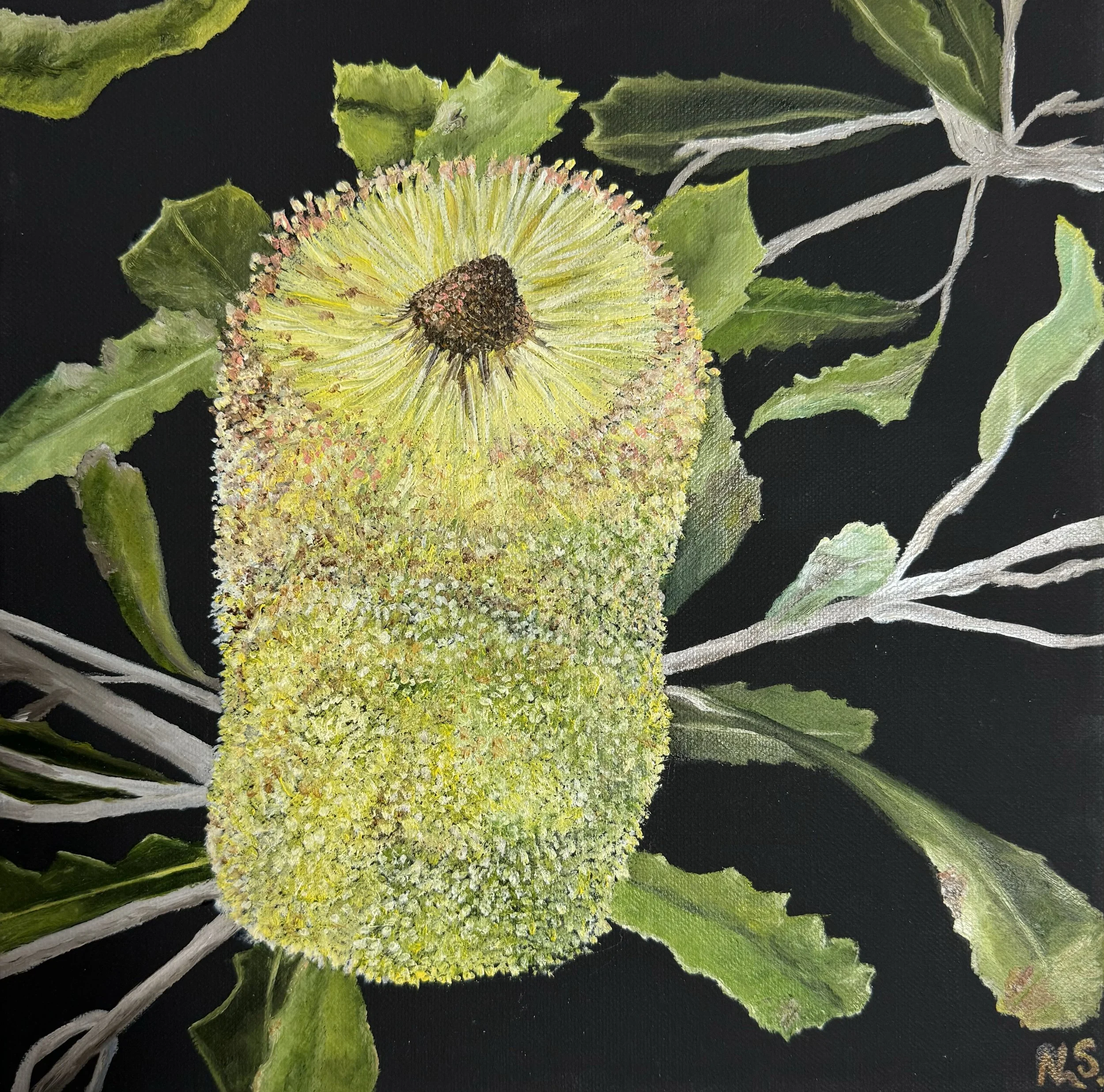 Banksia - 31 X 31cm - Sold