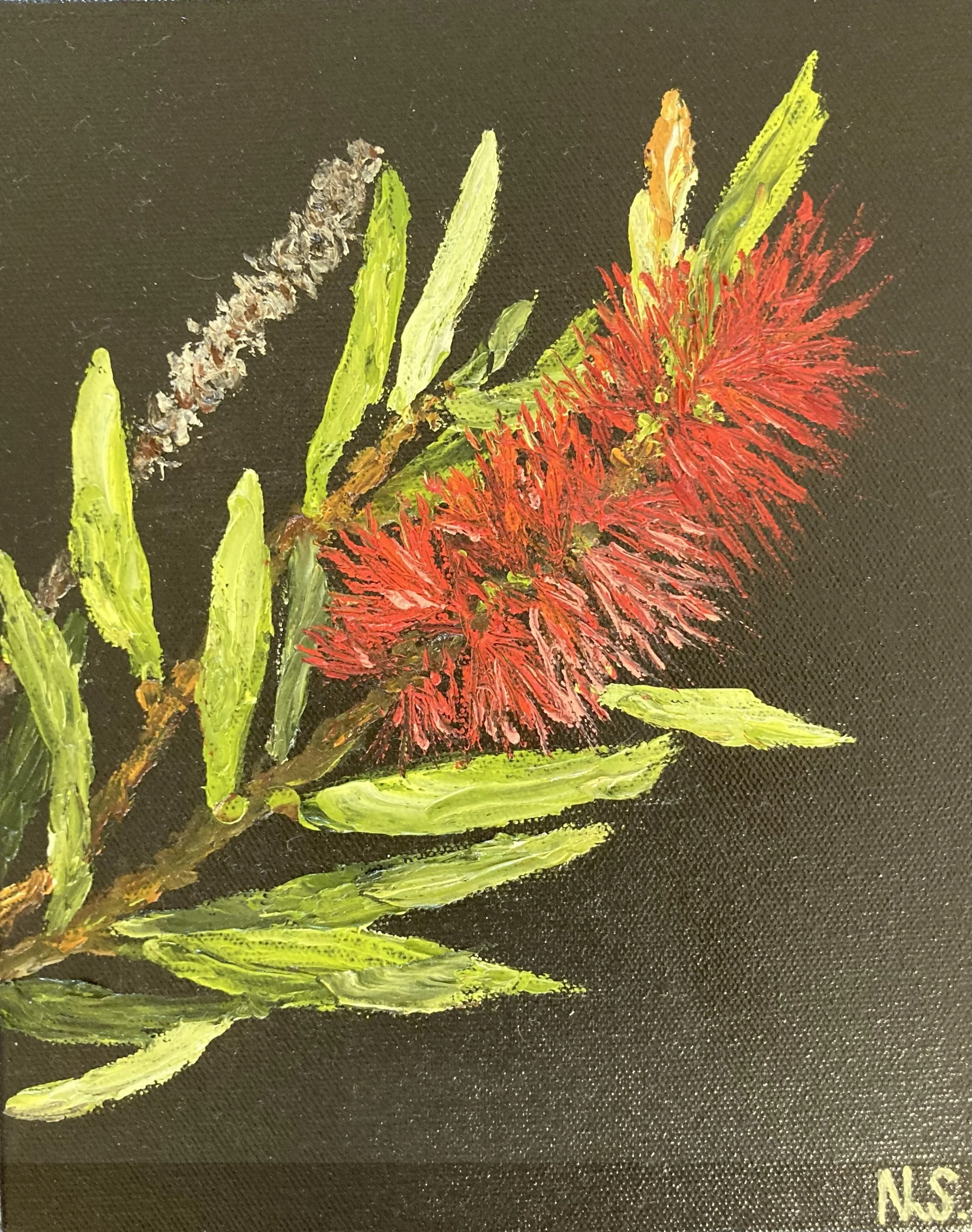 Red Brush 20x25cm $130
Available Hive Gallery Currumbin