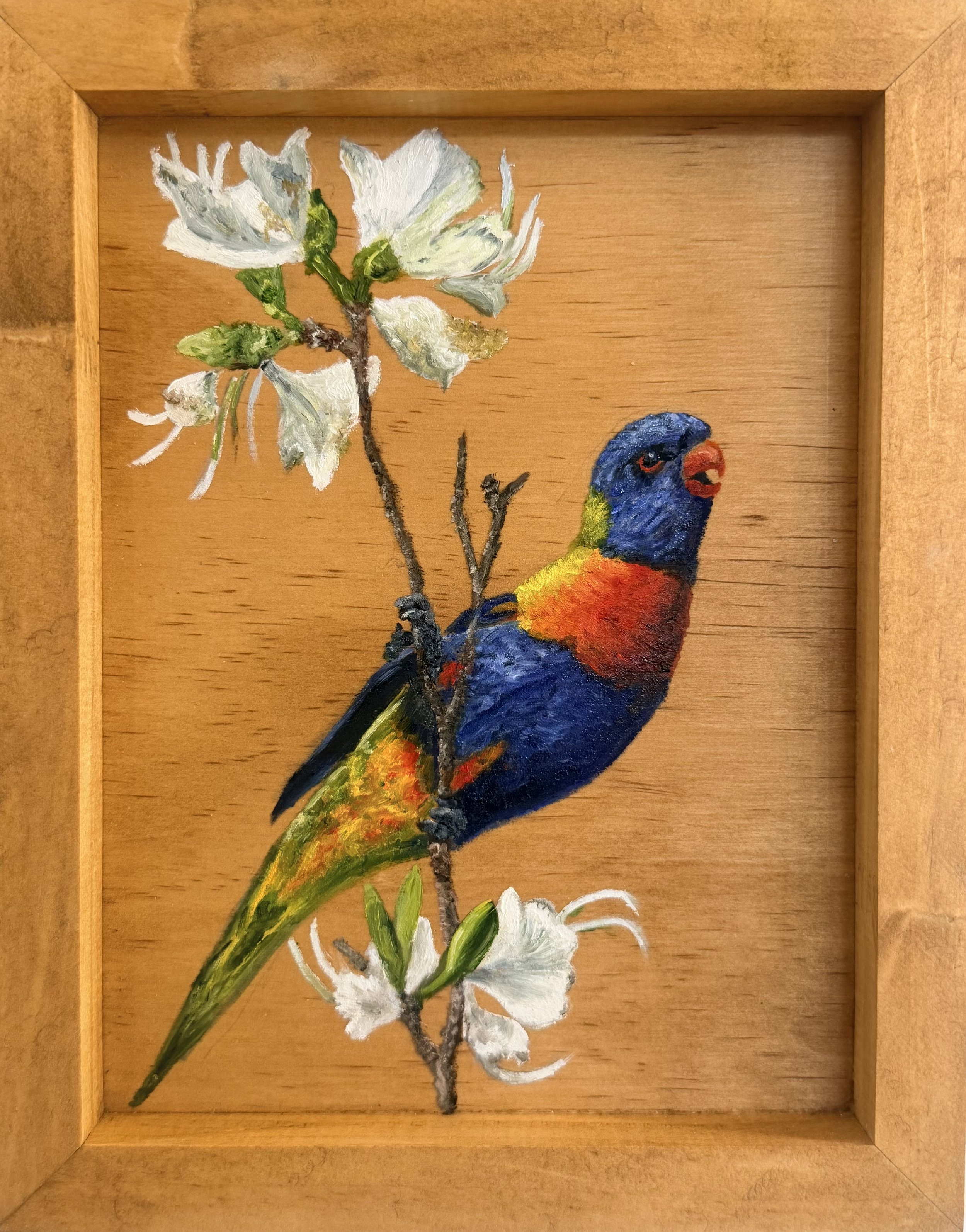 Bauhinia Beauty - 20x25cm 
Wooden board $120