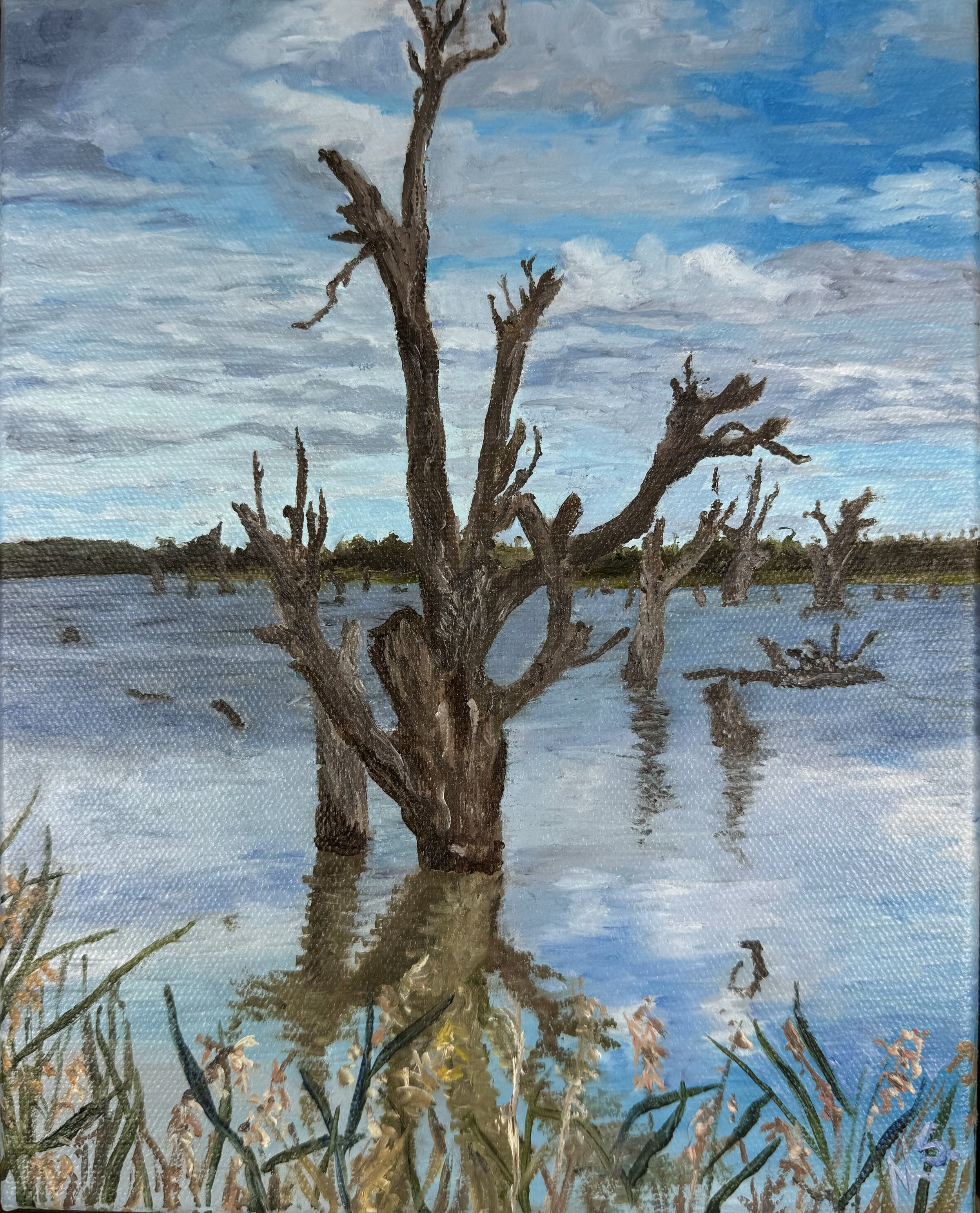 Steam of the Murray - 20 X 25cm + Frame - $279