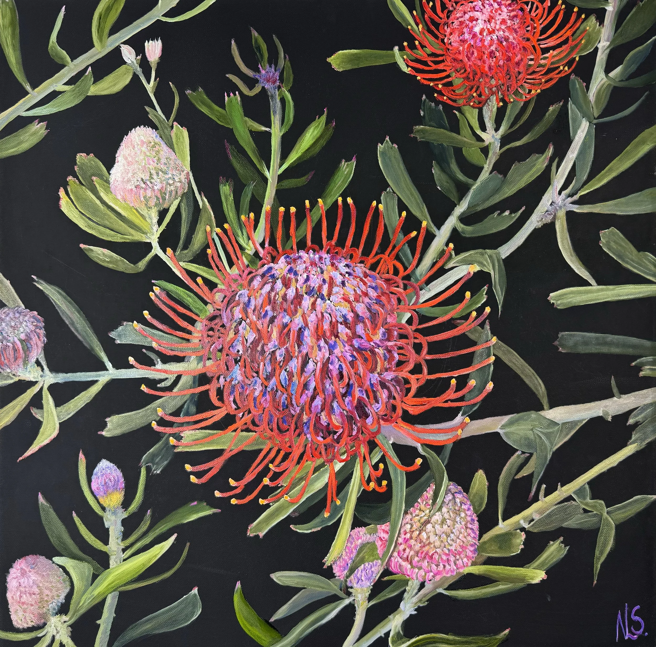 30-1-Protea.JPG