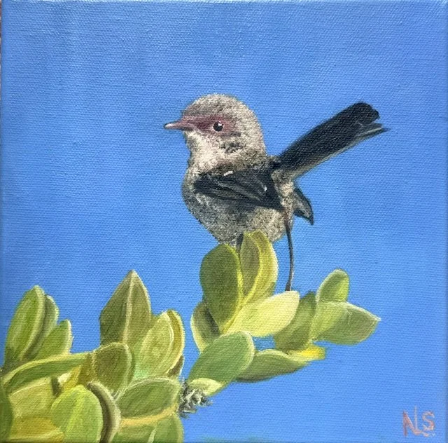 She Wren 20x20cm - $150