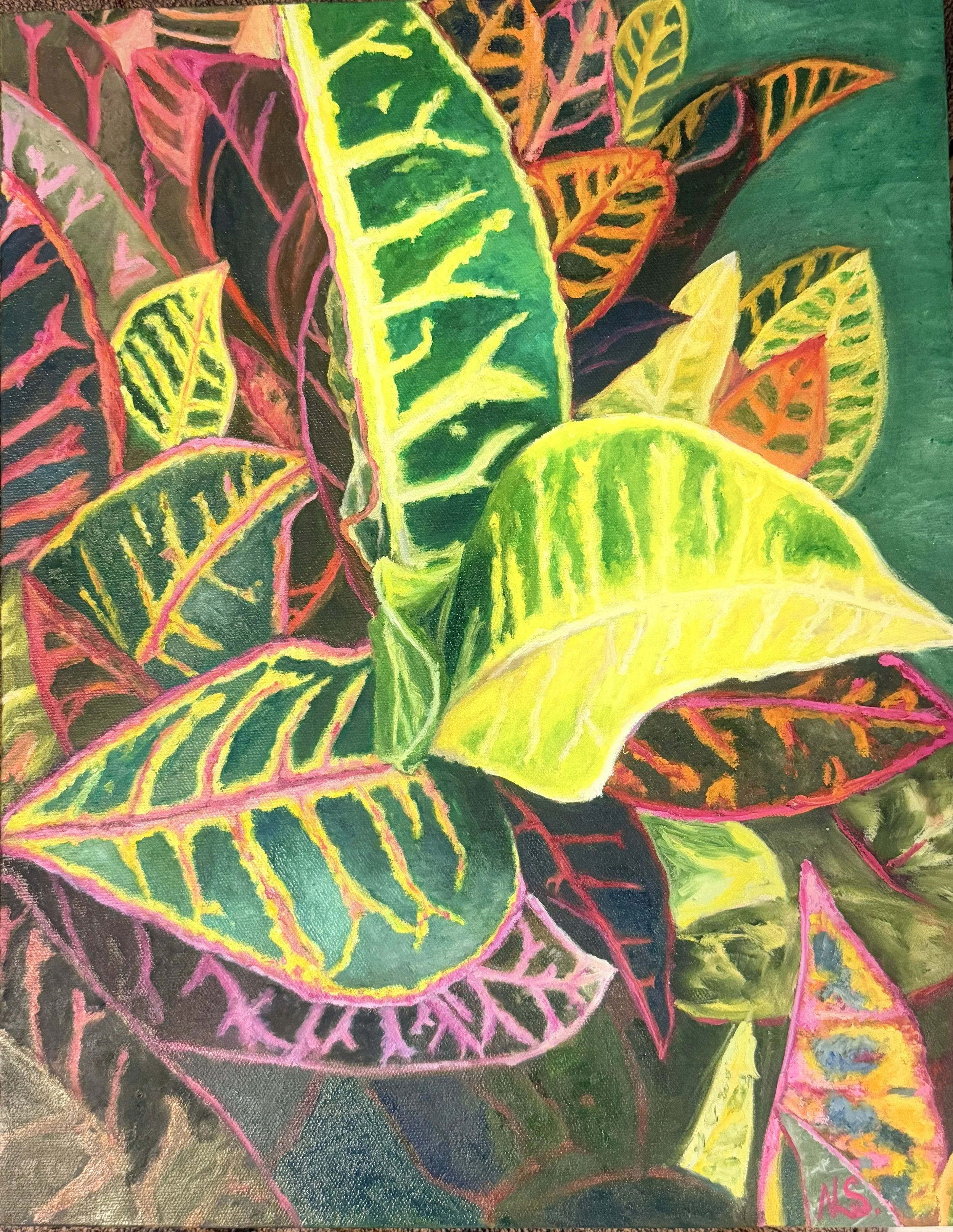 Vivid Blaze-40x51cm - $180 
available at Hive Gallery Currumbin