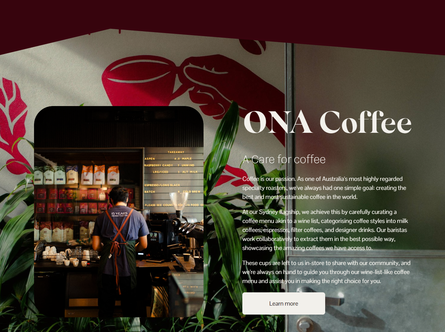 Home - about product section