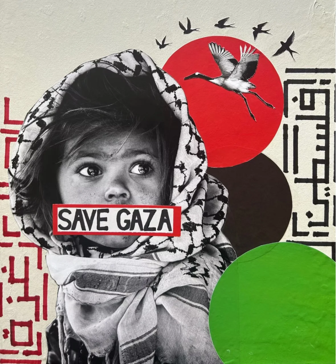 Save Gaza - Shahzaad Raja