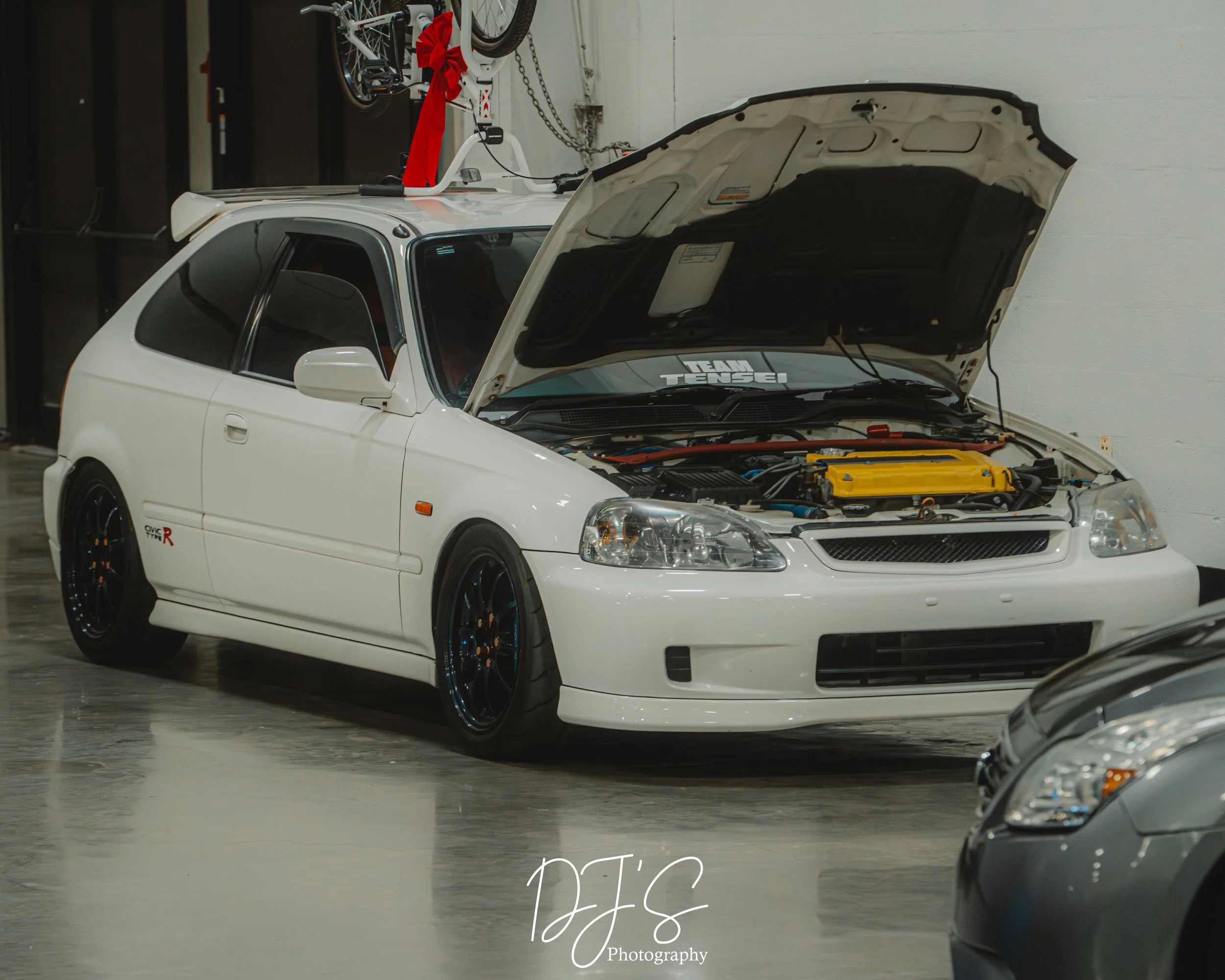 import (67 of 72).jpg