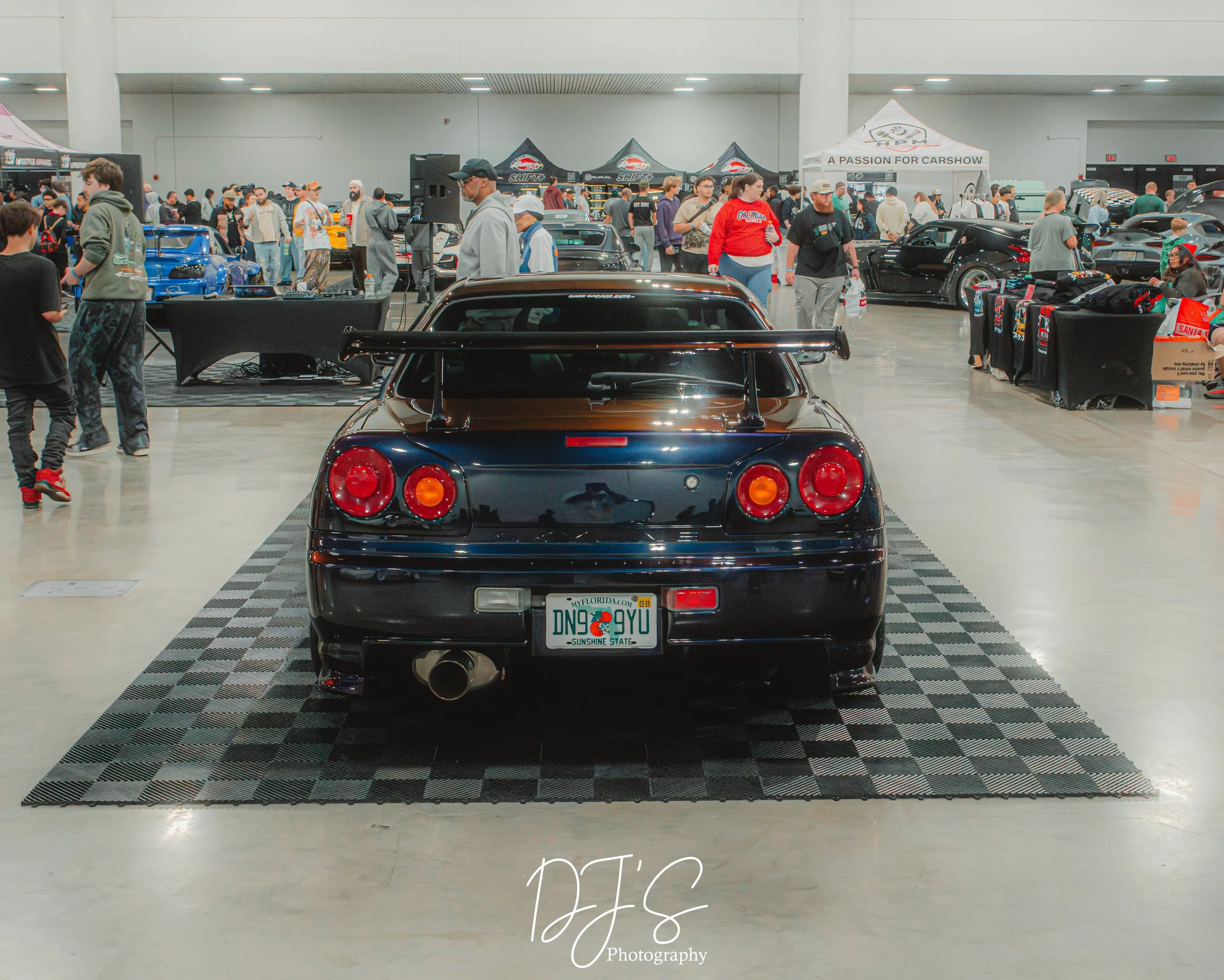 import (25 of 72).jpg