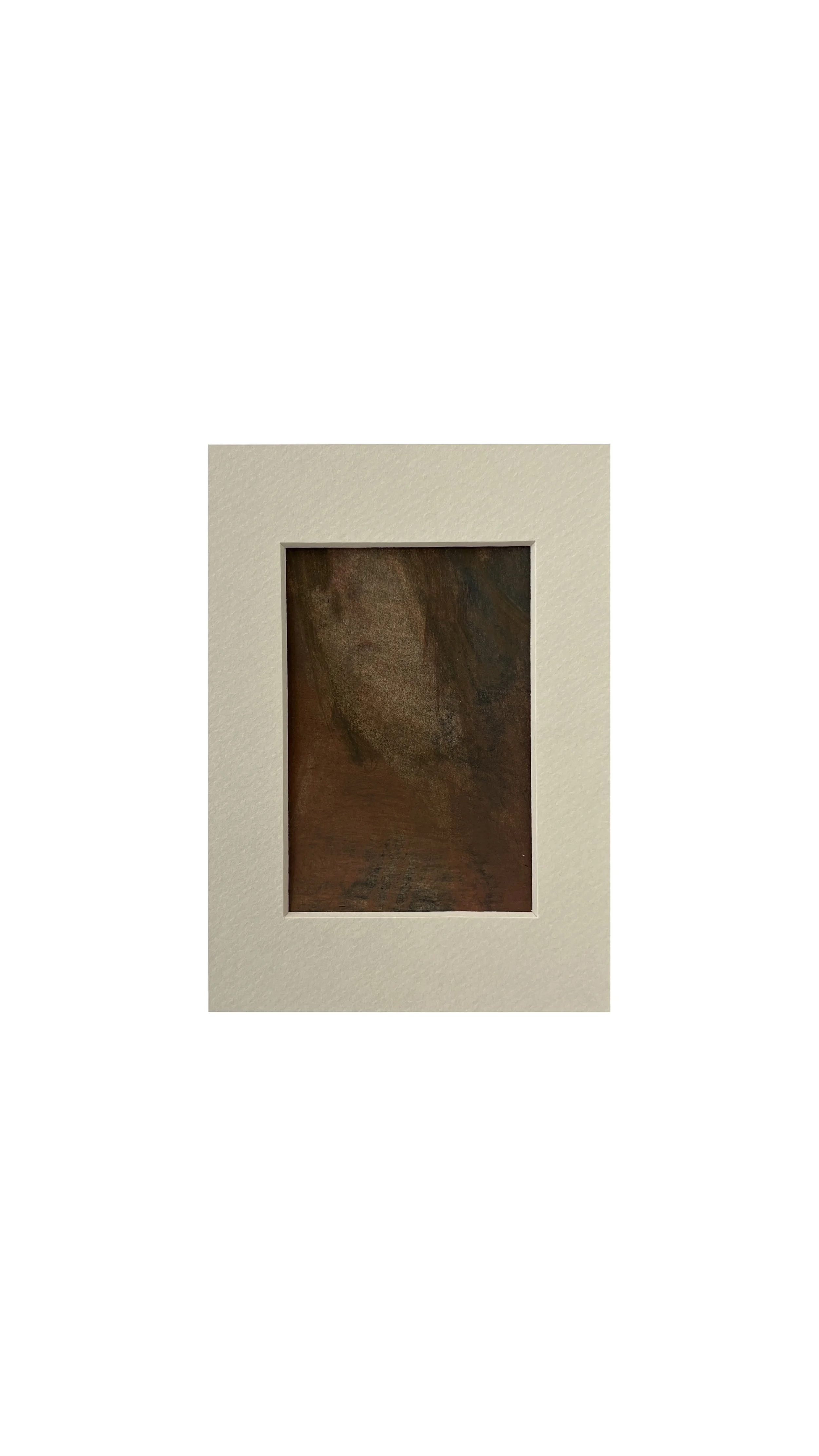 scribbly gum.jpg