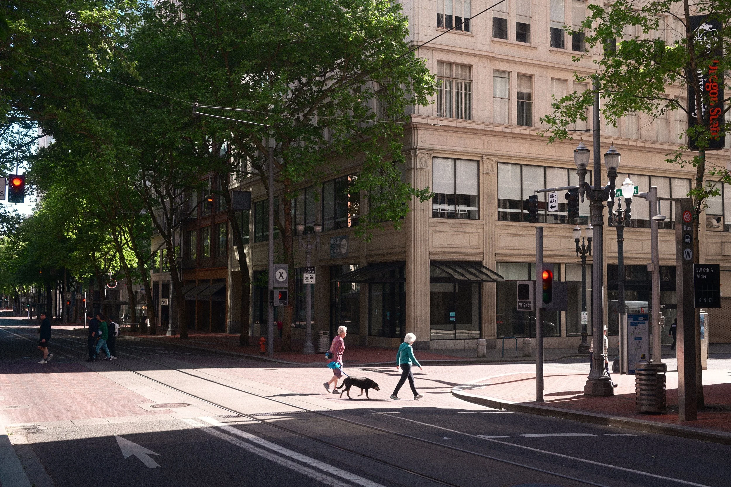 Downtown Portland street scene at SW Sixth Avenue and Alder Street with light rail tracks, historic buildings, trees, traffic signals, and pedestrians walking a dog.
