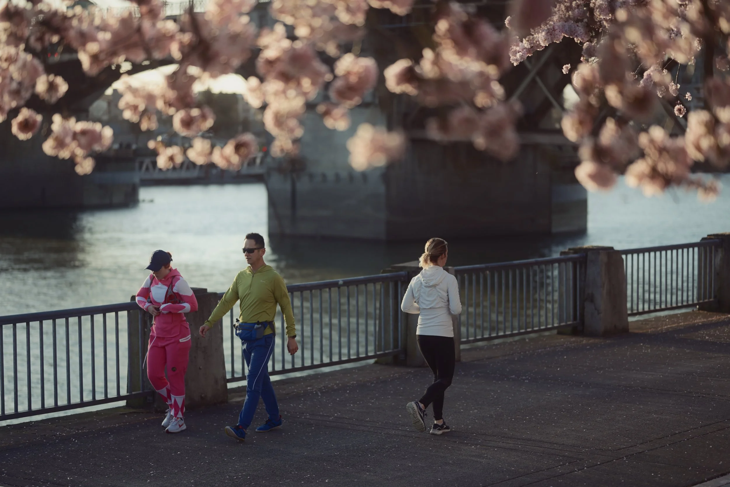 People walking along a river promenade with cherry blossoms in bloom and a bridge in the background at sunset.