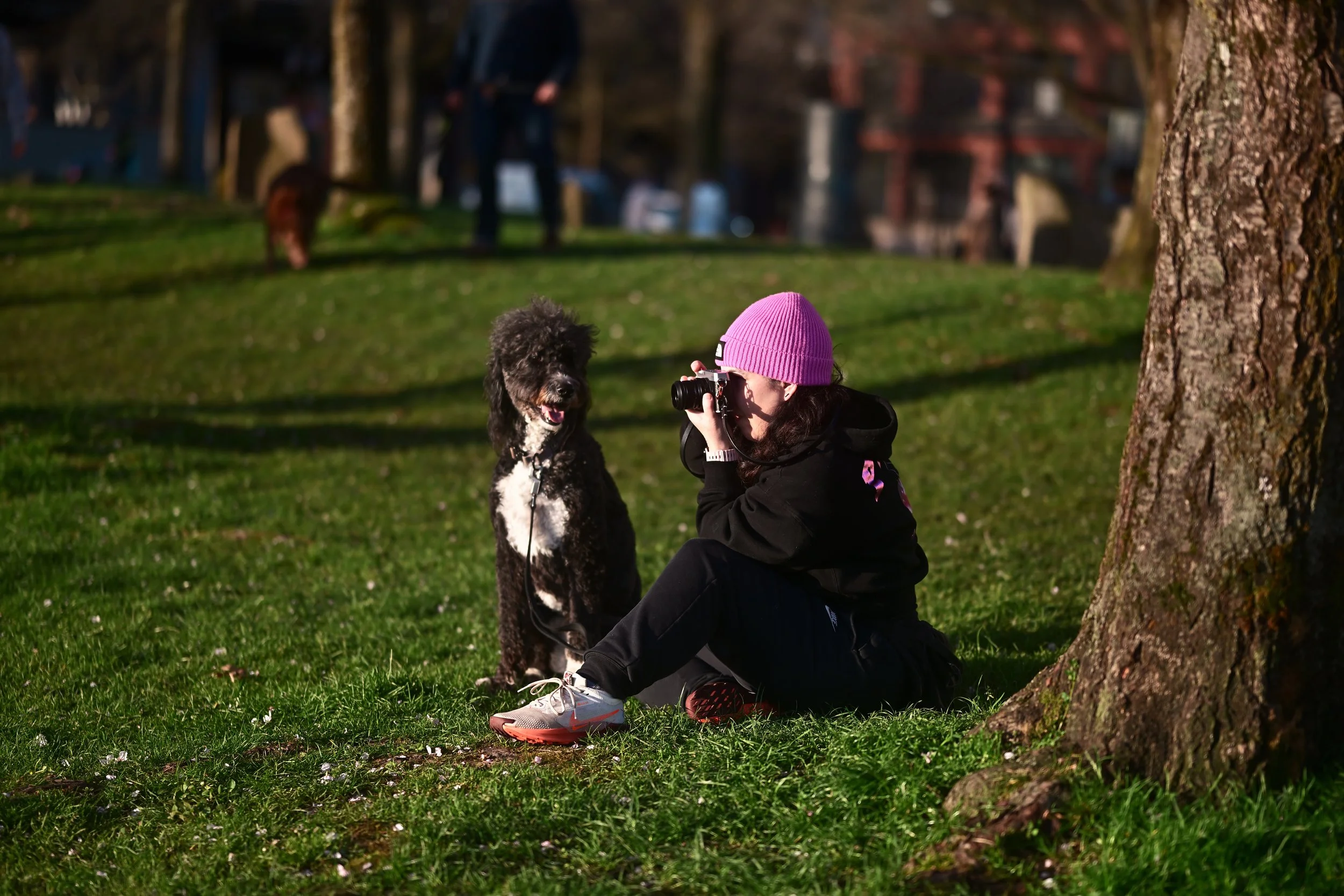 A person wearing a pink beanie, black jacket, and sneakers sitting on the grass, taking a photograph of a black and white dog with curly fur who is looking at the person, in a park with trees and blurred buildings in the background.