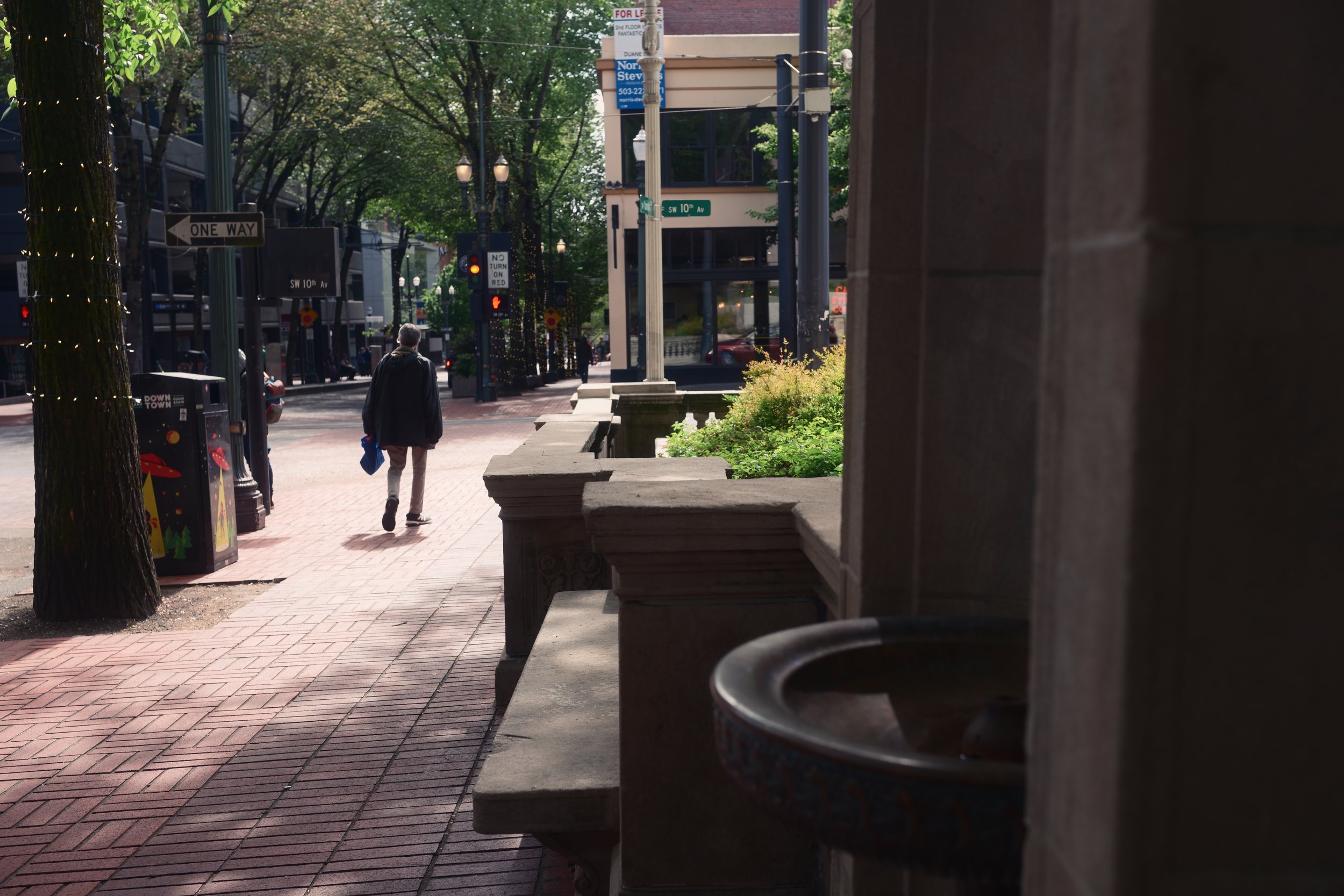 A street scene with a person walking away from the camera on a sunny day. The sidewalk is brick, lined with trees, street signs, and holiday decorations. A person in dark clothing is holding a bag, and there are buildings and a traffic light in the b