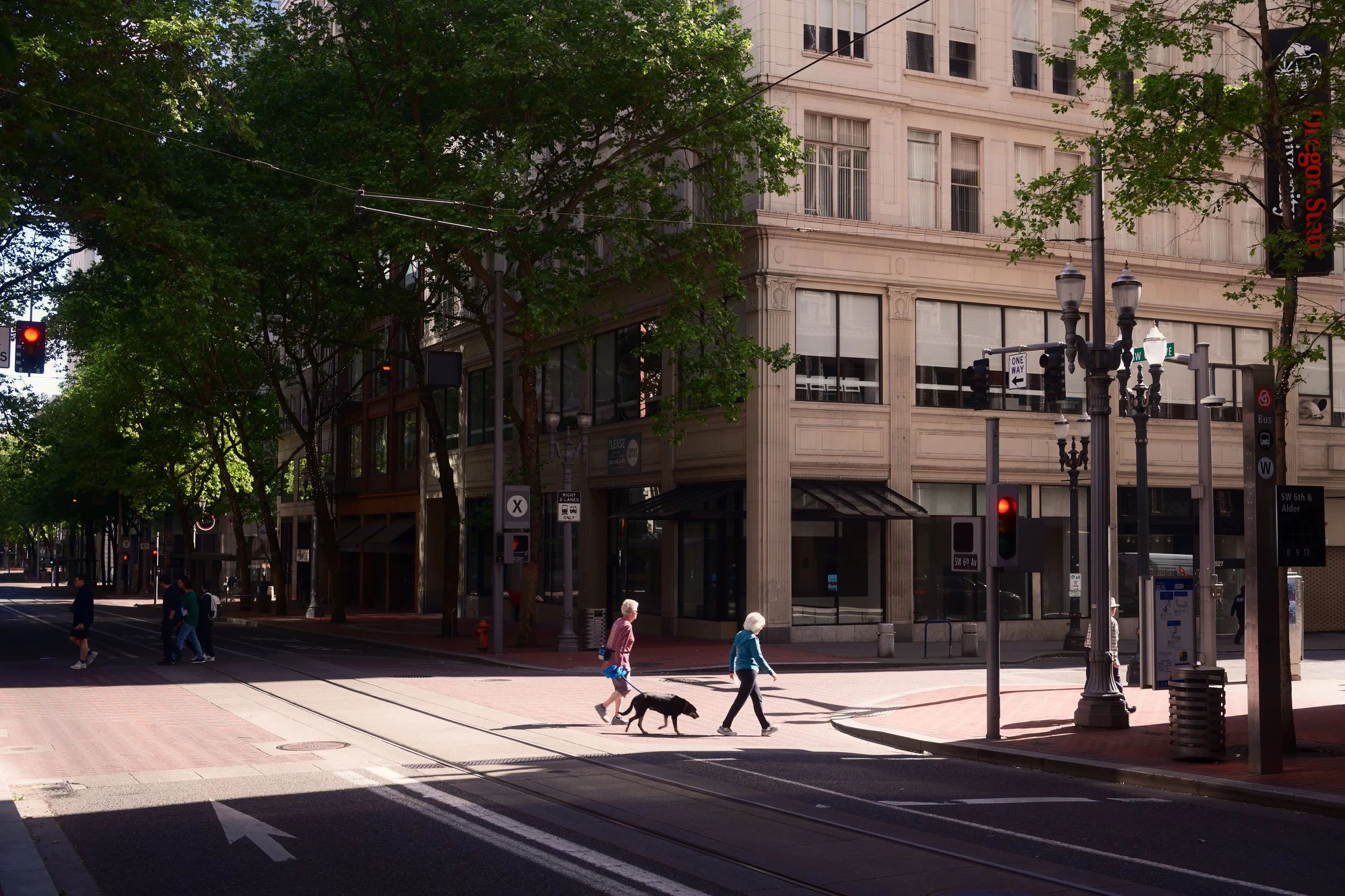 People crossing a city street at a crosswalk, with trees, a building with large windows, street lamps, and traffic lights.