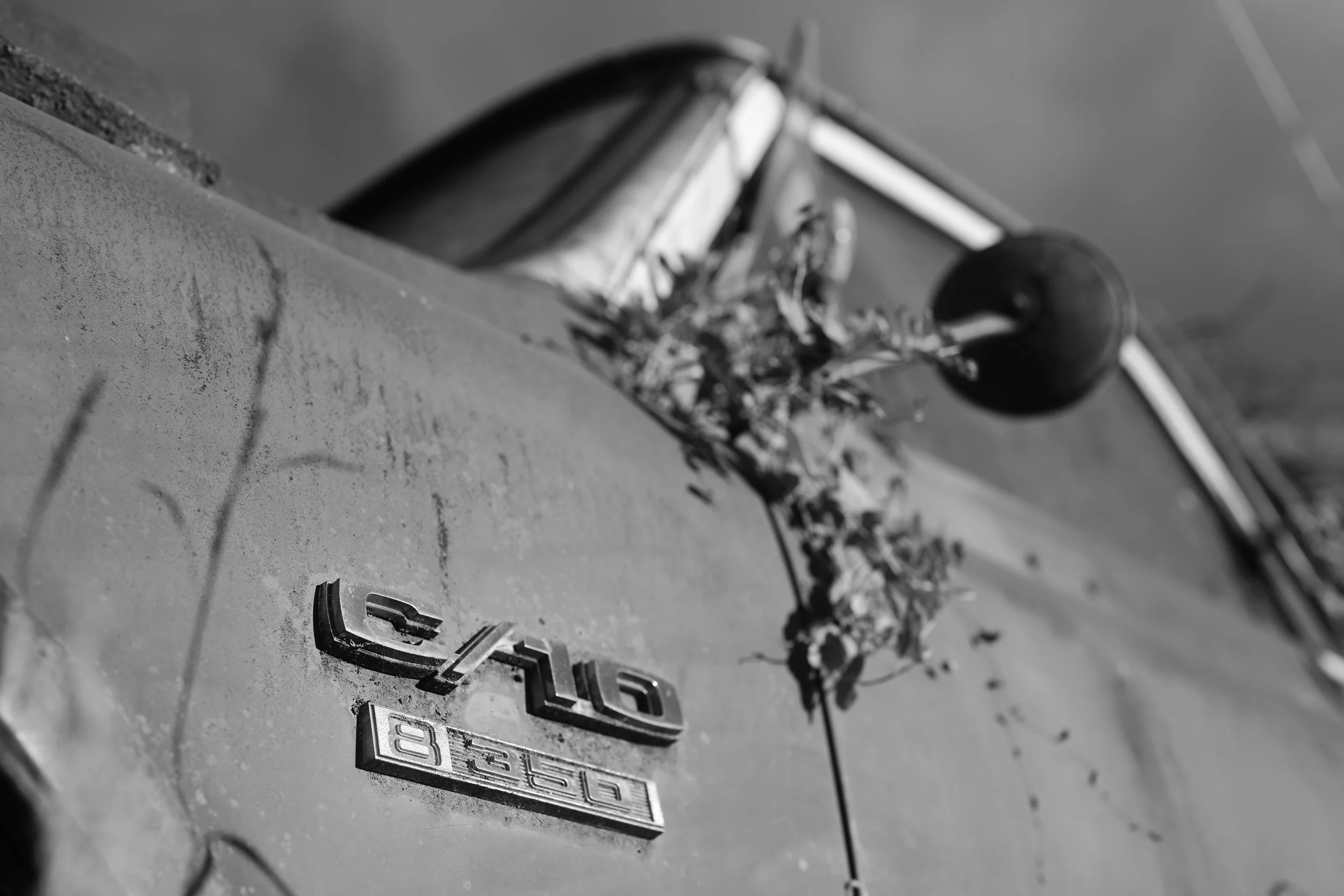 Close-up of a vintage Chevrolet emblem on the hood of a car, with a blurred background.