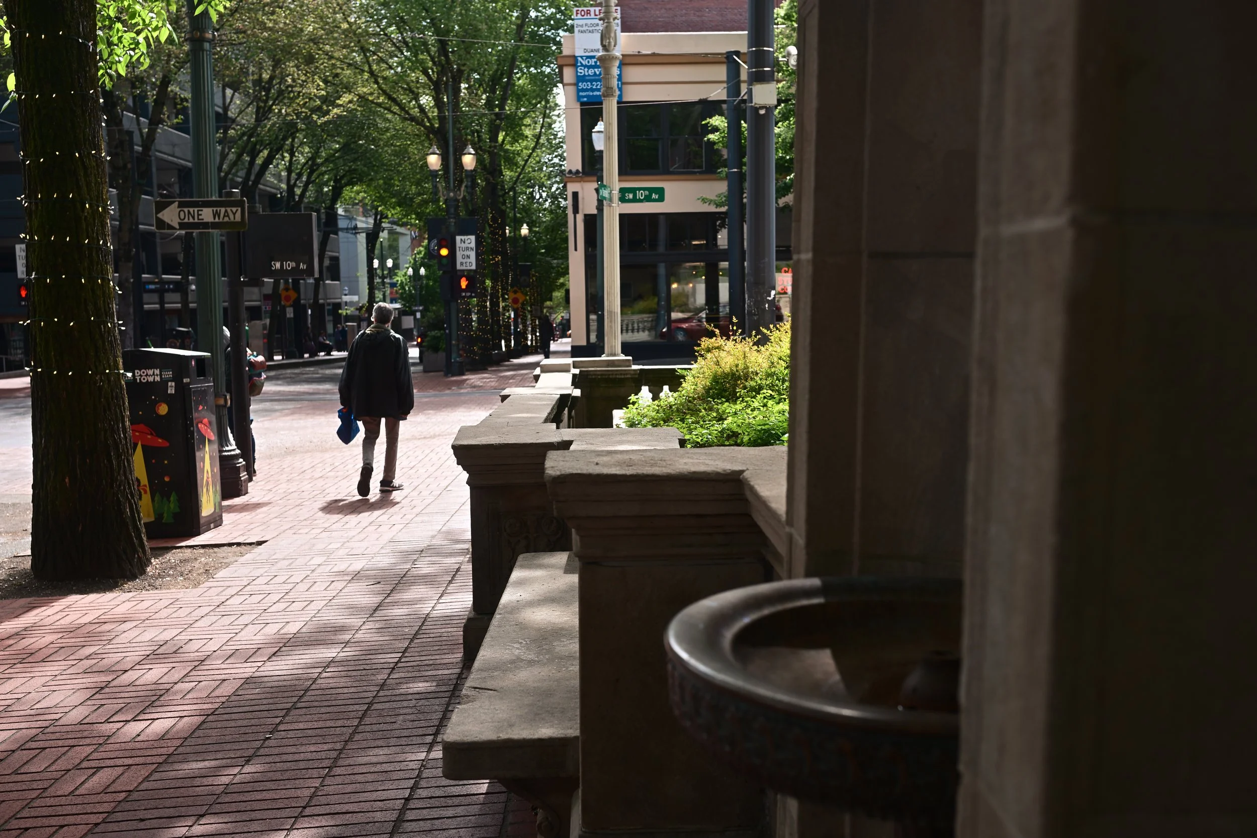 A city street scene with trees, a pedestrian, street signs, holiday decorations, and buildings in the background.