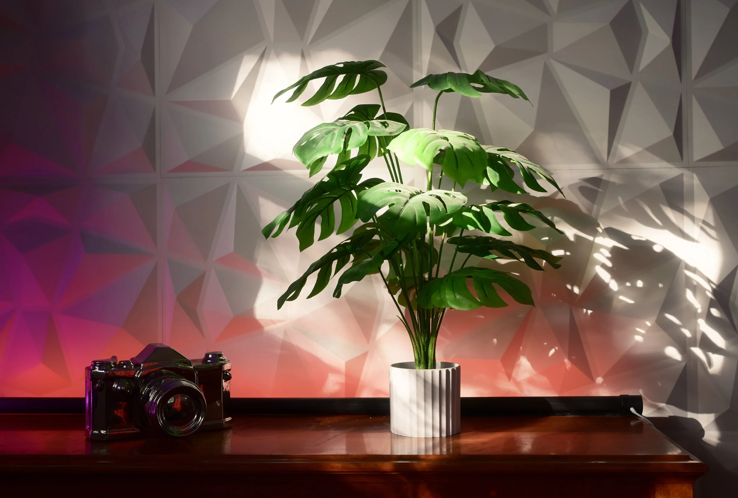 A potted monstera plant on a wooden surface, with a colorful geometric background and a camera on the left side.