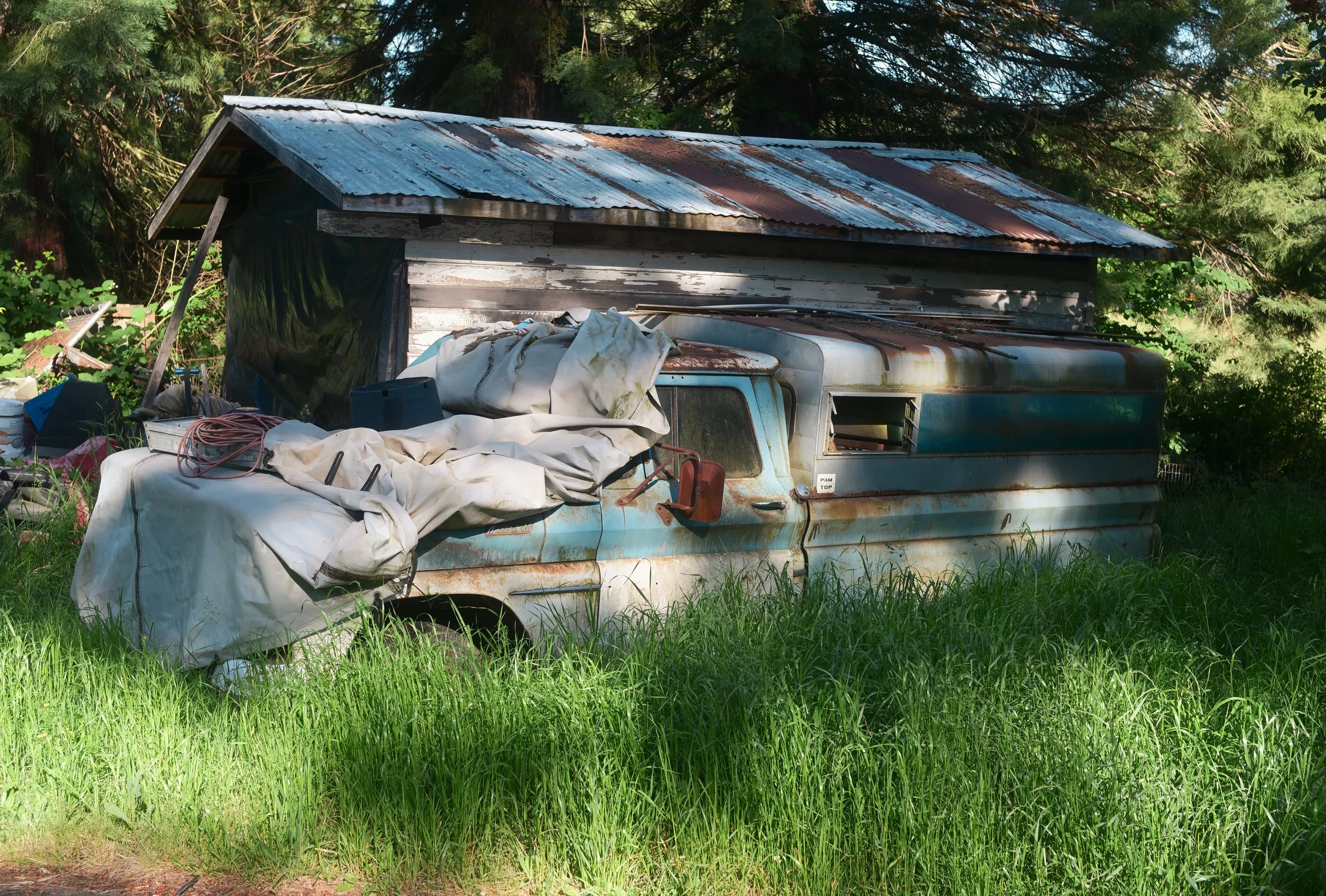 Old rusty camper trailer with a makeshift shed on top, surrounded by tall green grass and trees.