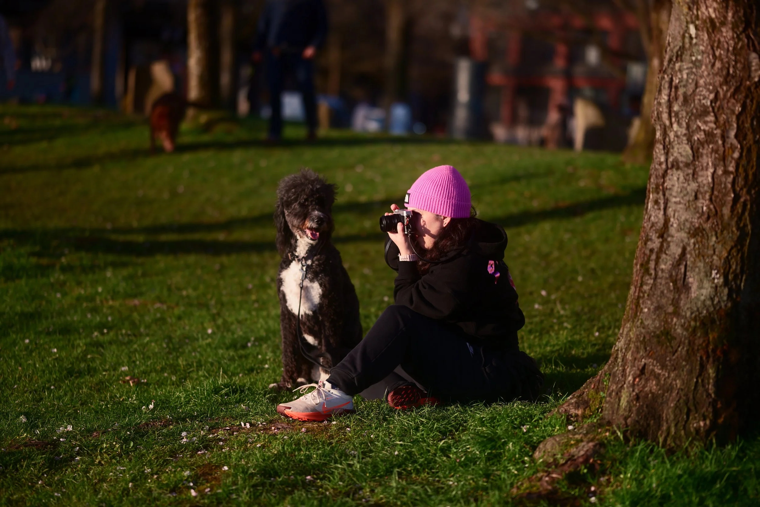 A woman wearing a pink beanie, black hoodie, and athletic shoes sitting on the grass next to a black and white curly-haired dog. The woman is taking a picture with a camera, and they are under a tree in a park during late afternoon or early evening.