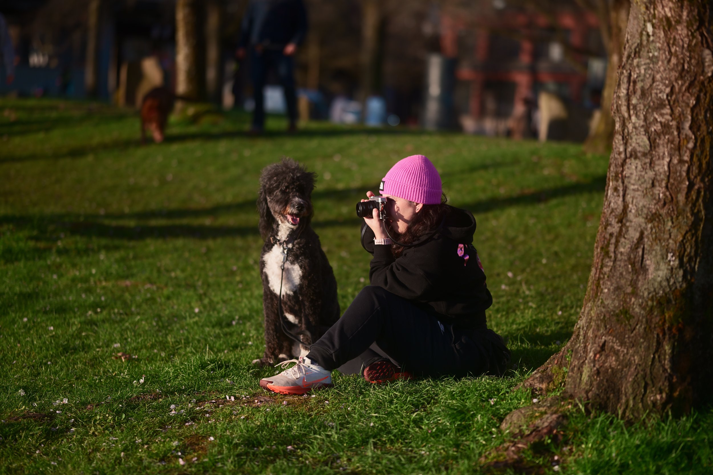 A woman with a pink beanie taking a photograph of a black and white dog sitting on the grass in a park, with people walking in the background near trees.