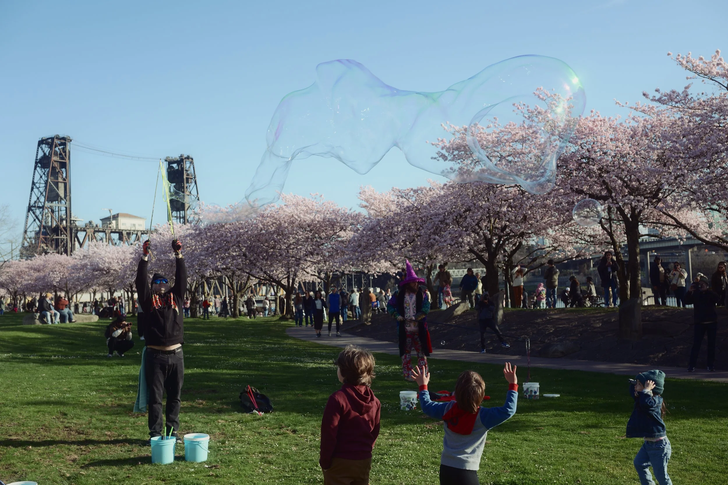 Children and adults watching a large soap bubble in a park with cherry blossom trees and a bridge in the background.