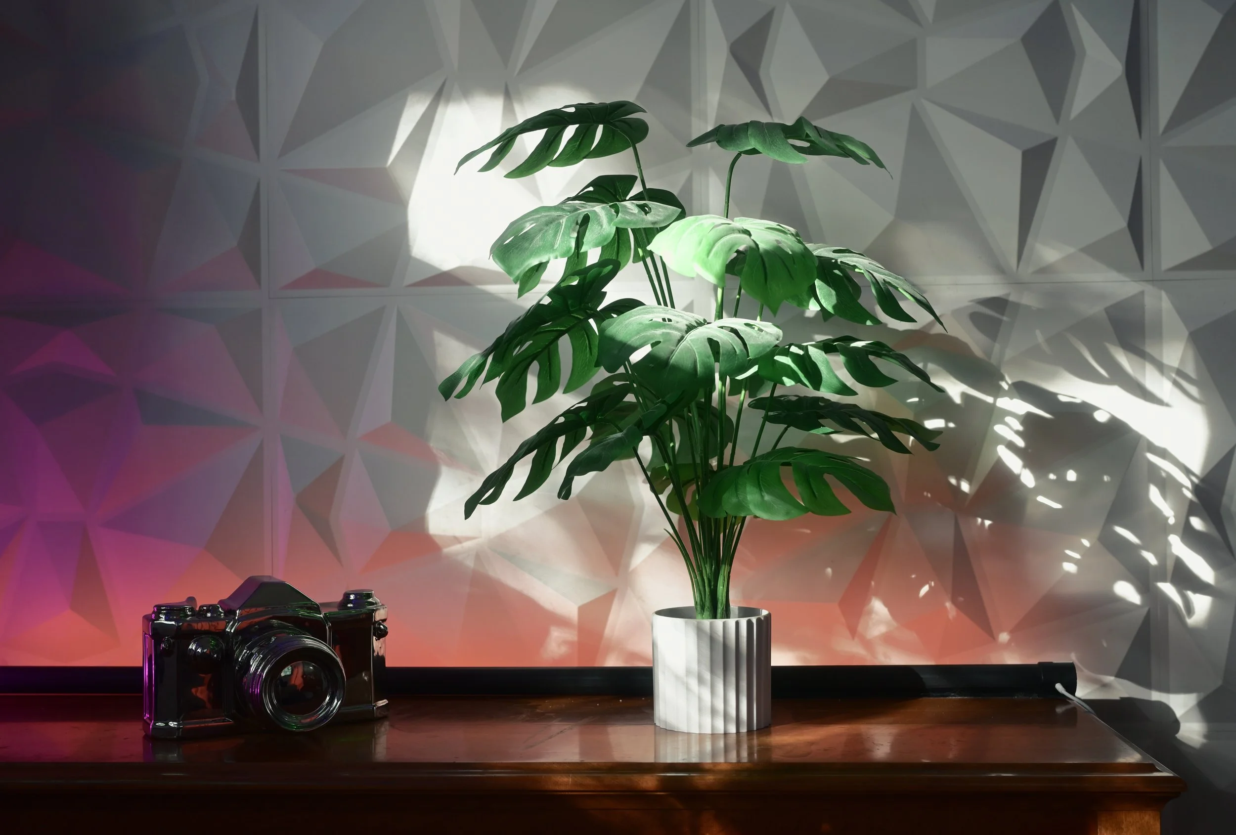 A potted Monstera plant with large, split green leaves on a wooden surface. A vintage camera is positioned to the left of the plant. The background features a geometric-patterned wall with colorful lighting effects.