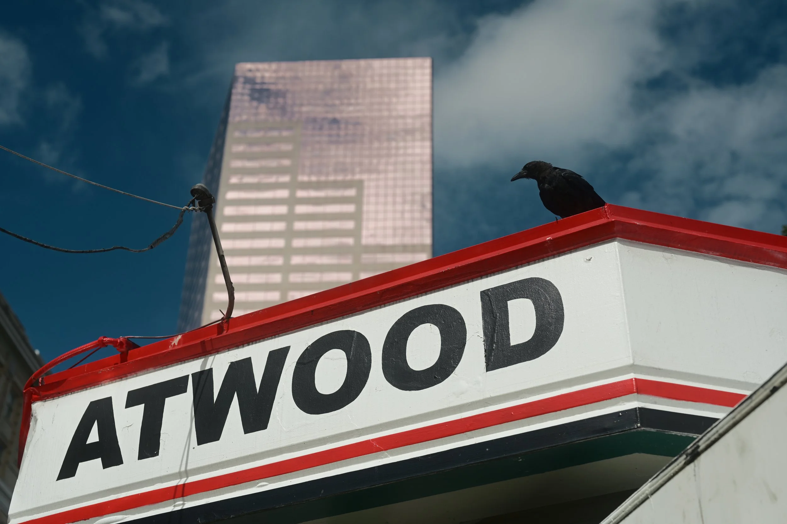 A black crow perched on the red edge of a white sign with partially visible black text, with a modern glass building in the background under a partly cloudy sky.