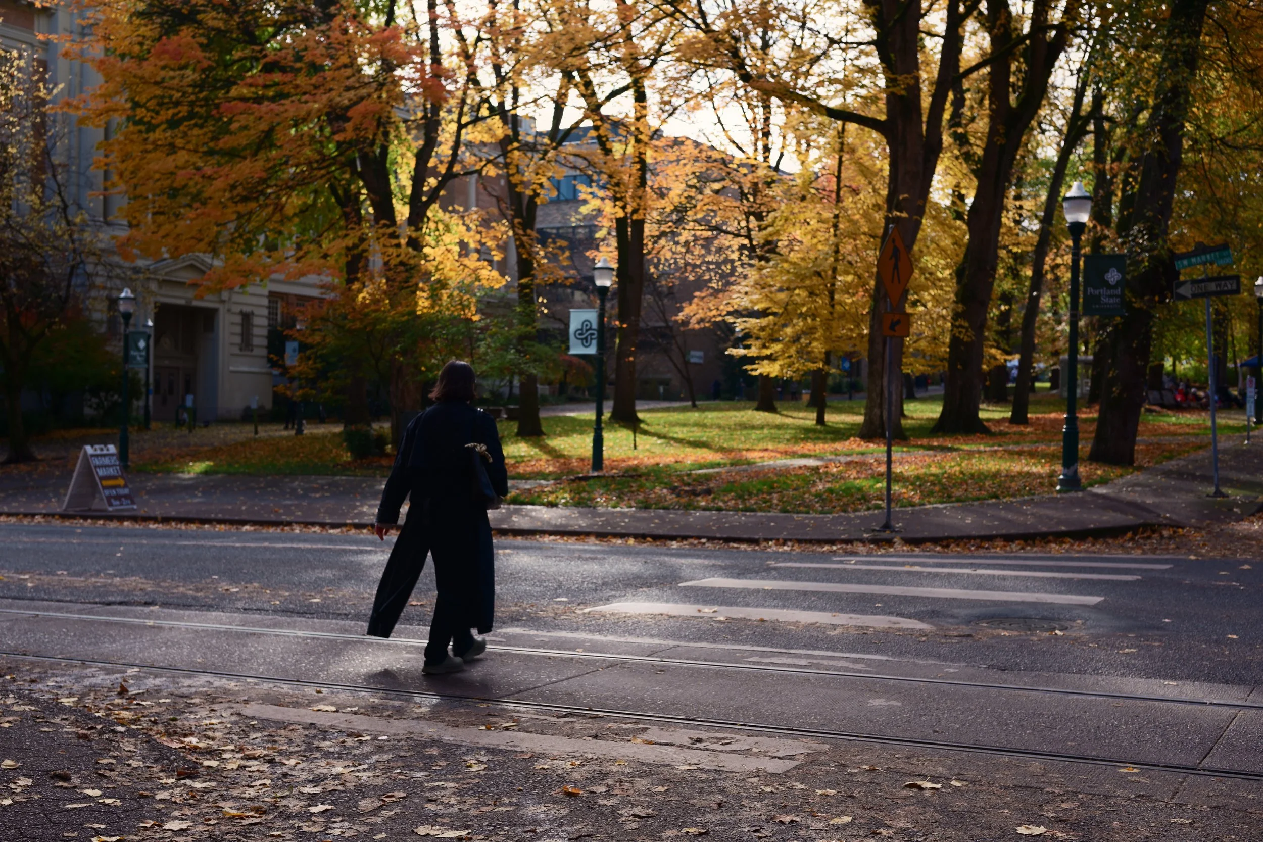 A person dressed in dark clothing crosses a street with tram tracks in an autumn park, with trees full of orange and yellow leaves and some fallen leaves on the ground, in the late afternoon or early evening.