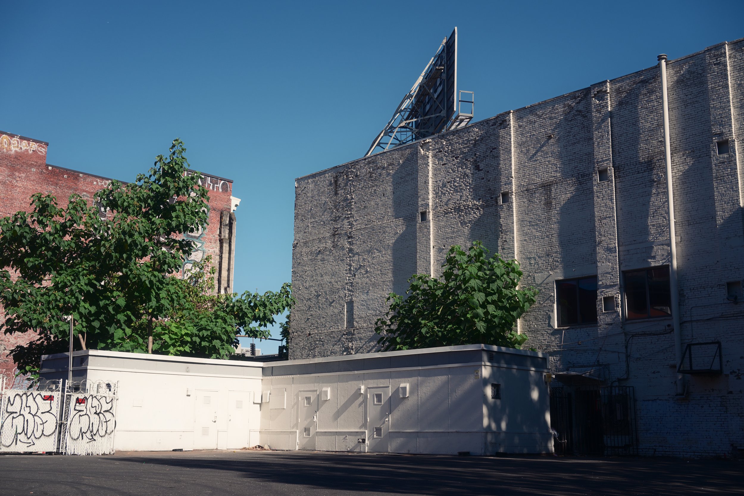 A white construction or storage container with graffiti on it, situated on black asphalt, with green trees in front of old brick buildings under a clear blue sky.