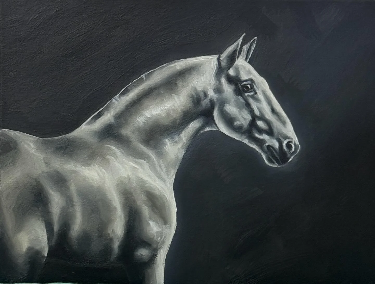 Sneak peek 🫣 

If you are a horse lover you will love what @jessica_____ramsay has created for our Art Exhibition. What is even more exciting is that Jess is an ex-student of St Vincent&rsquo;s who is now studying art at the National Art School 🖼️ 