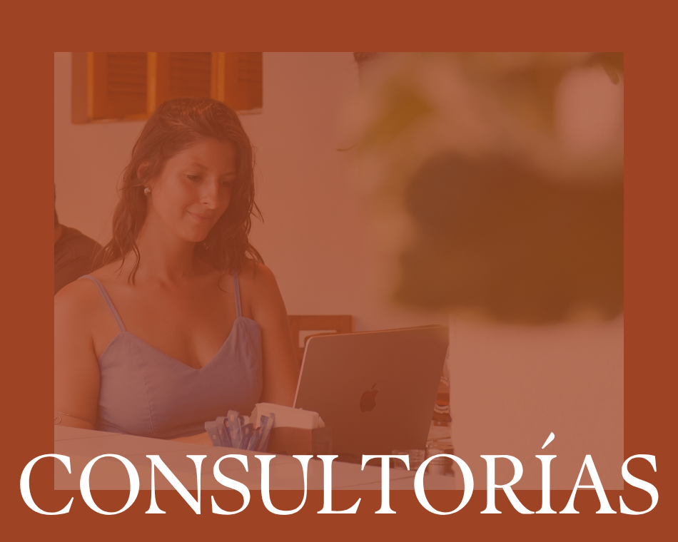Consultorías