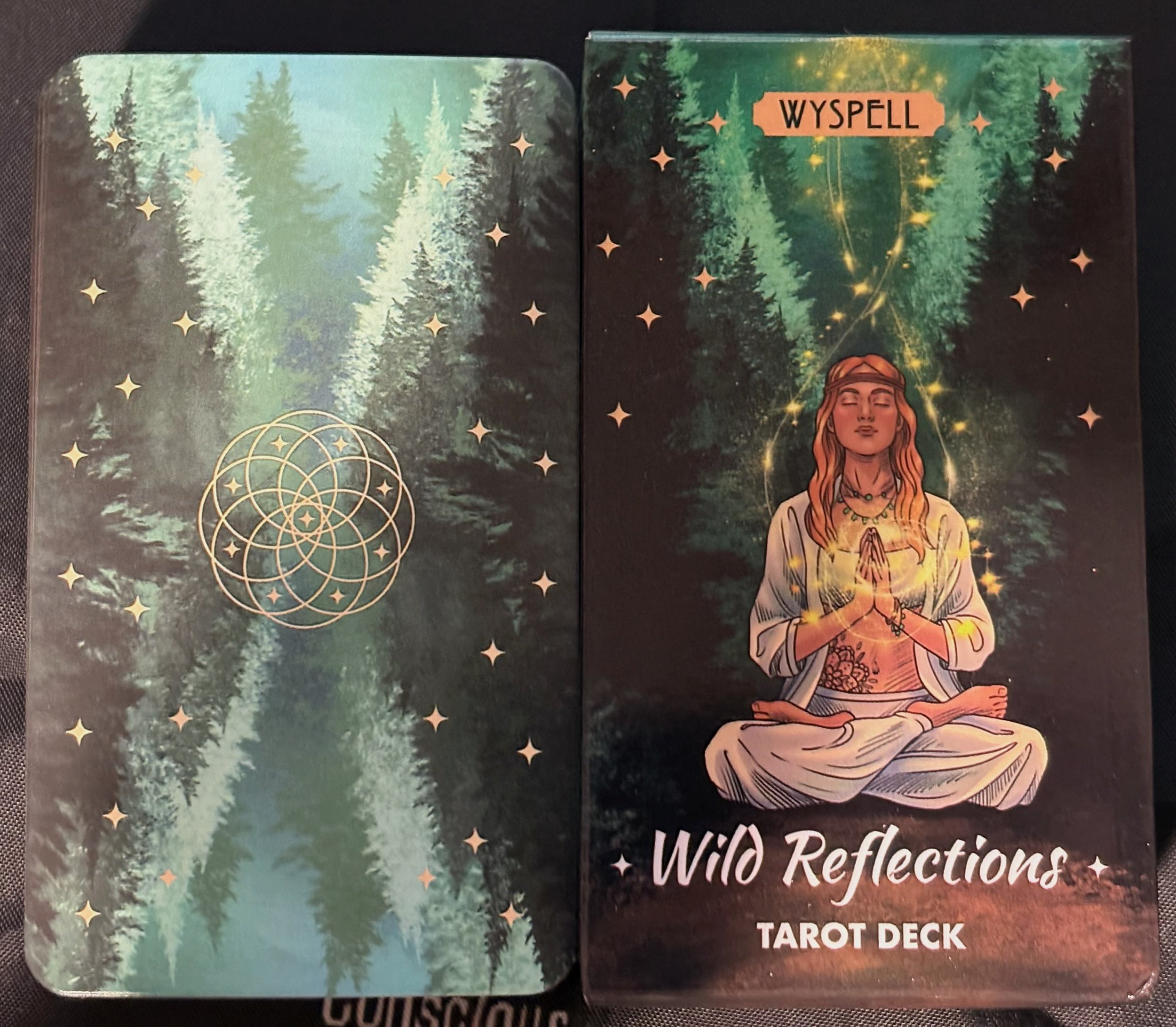 Wild Reflections Tarot Deck