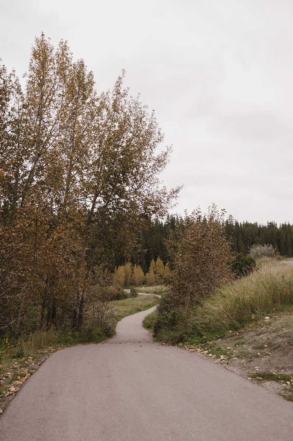 Cochrane Real Estate Market Update: The Market Just Split