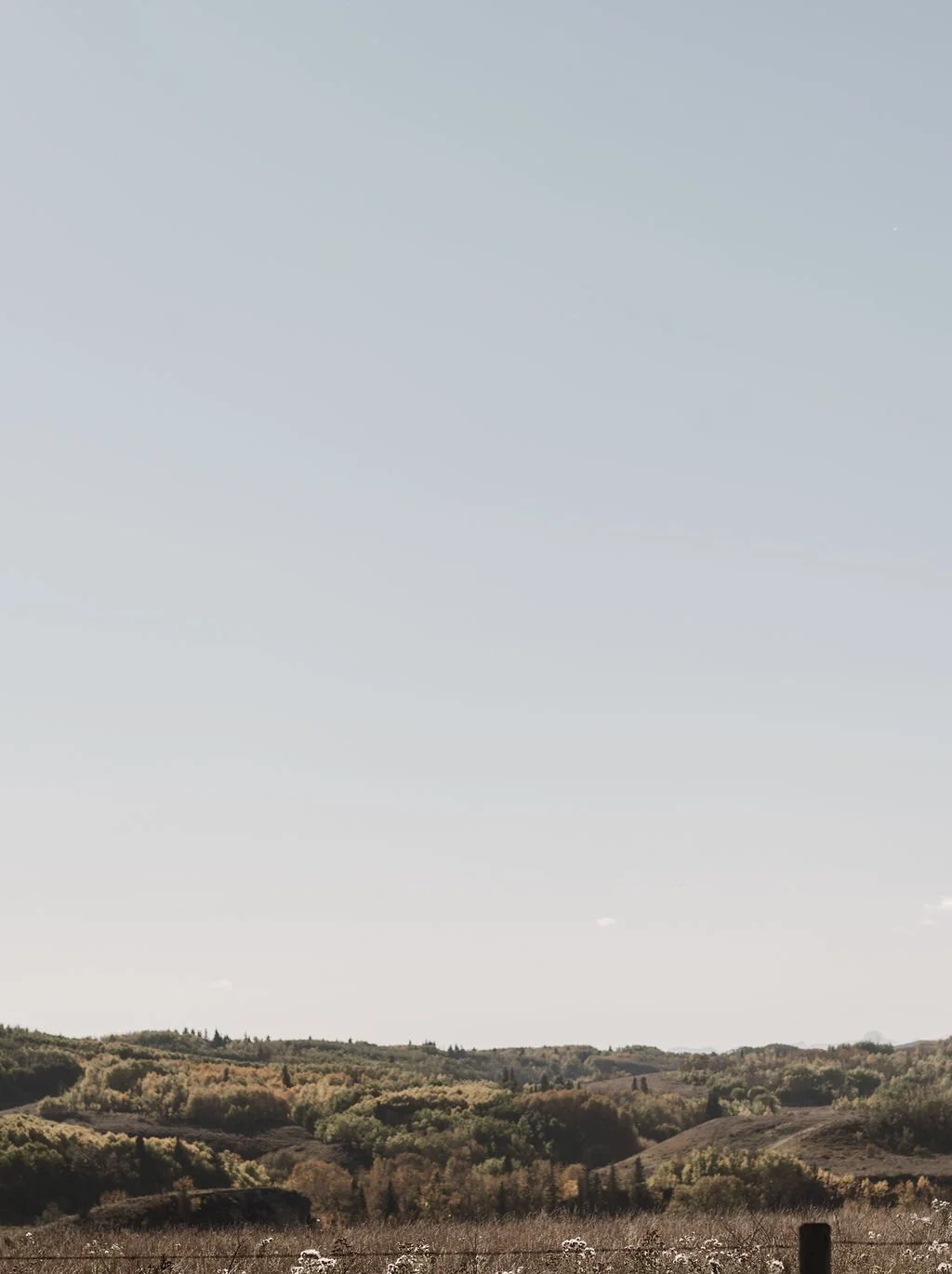Sunset Ridge Cochrane: What It’s Really Like to Live Here