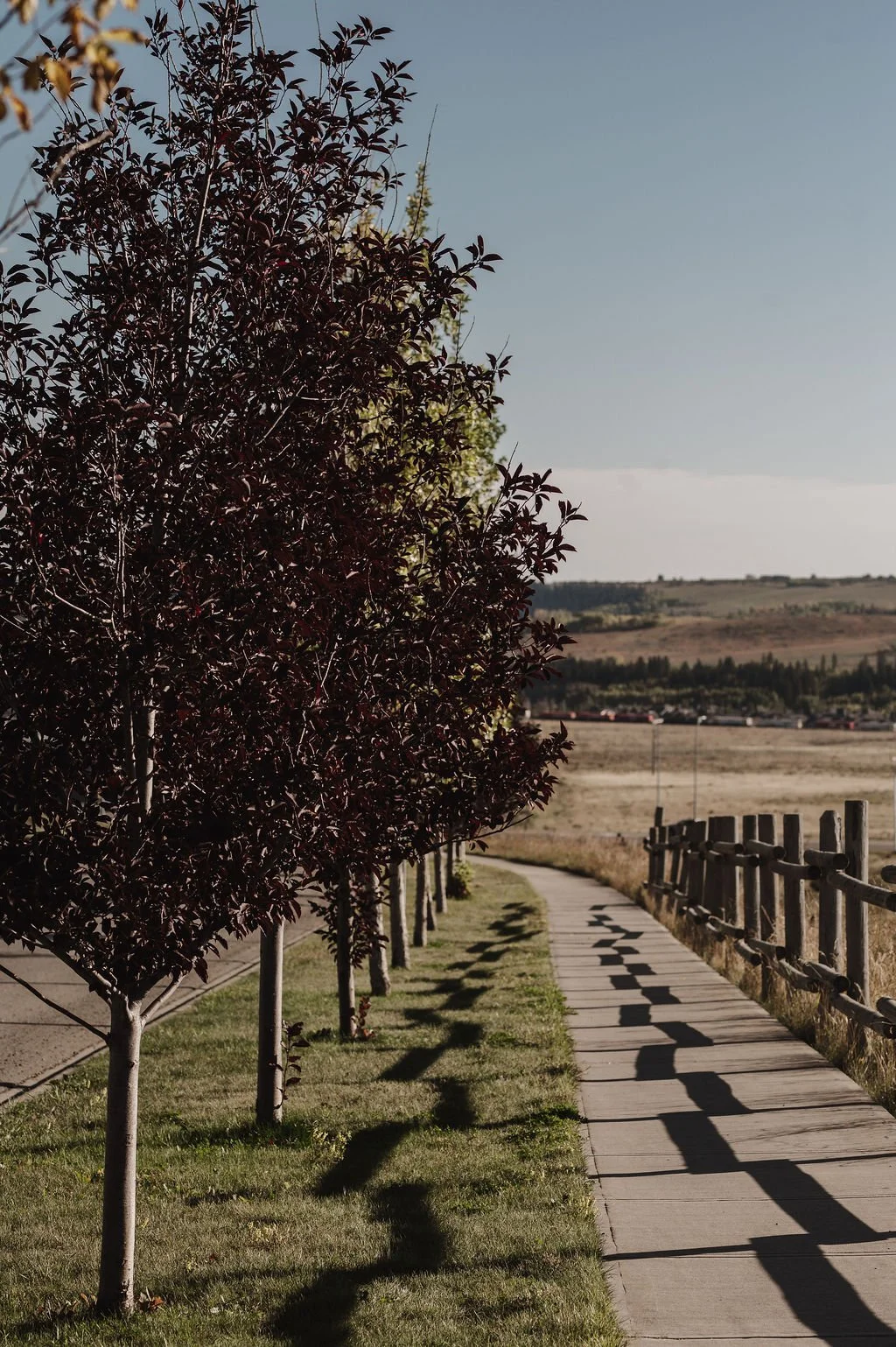 Monterra Cochrane Homes for Sale: A Bungalow with a Walkout