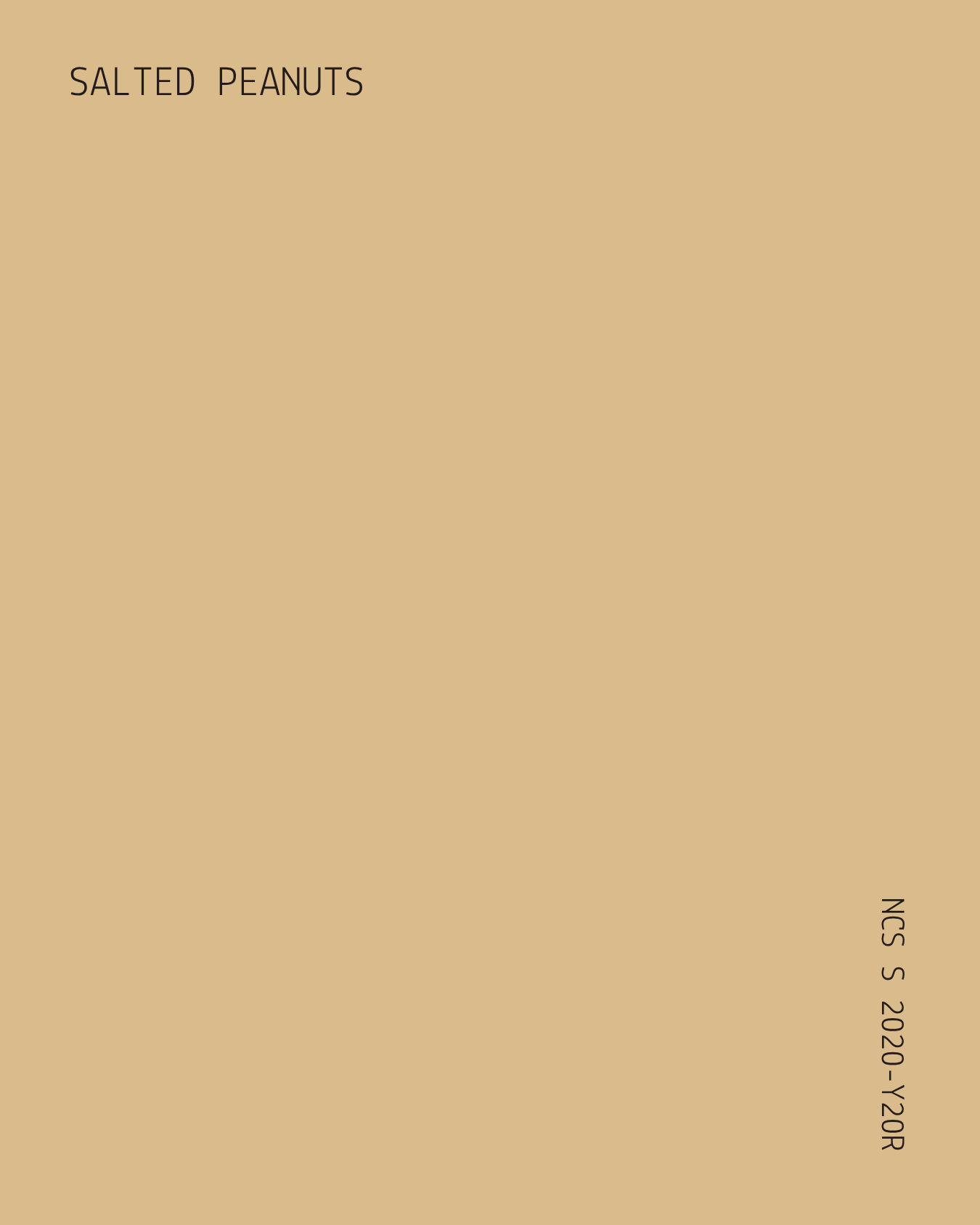 19.png