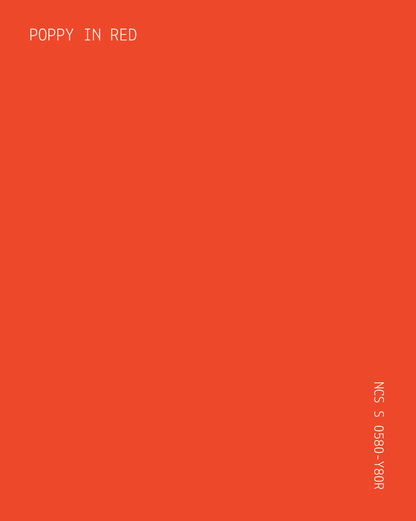 25.png