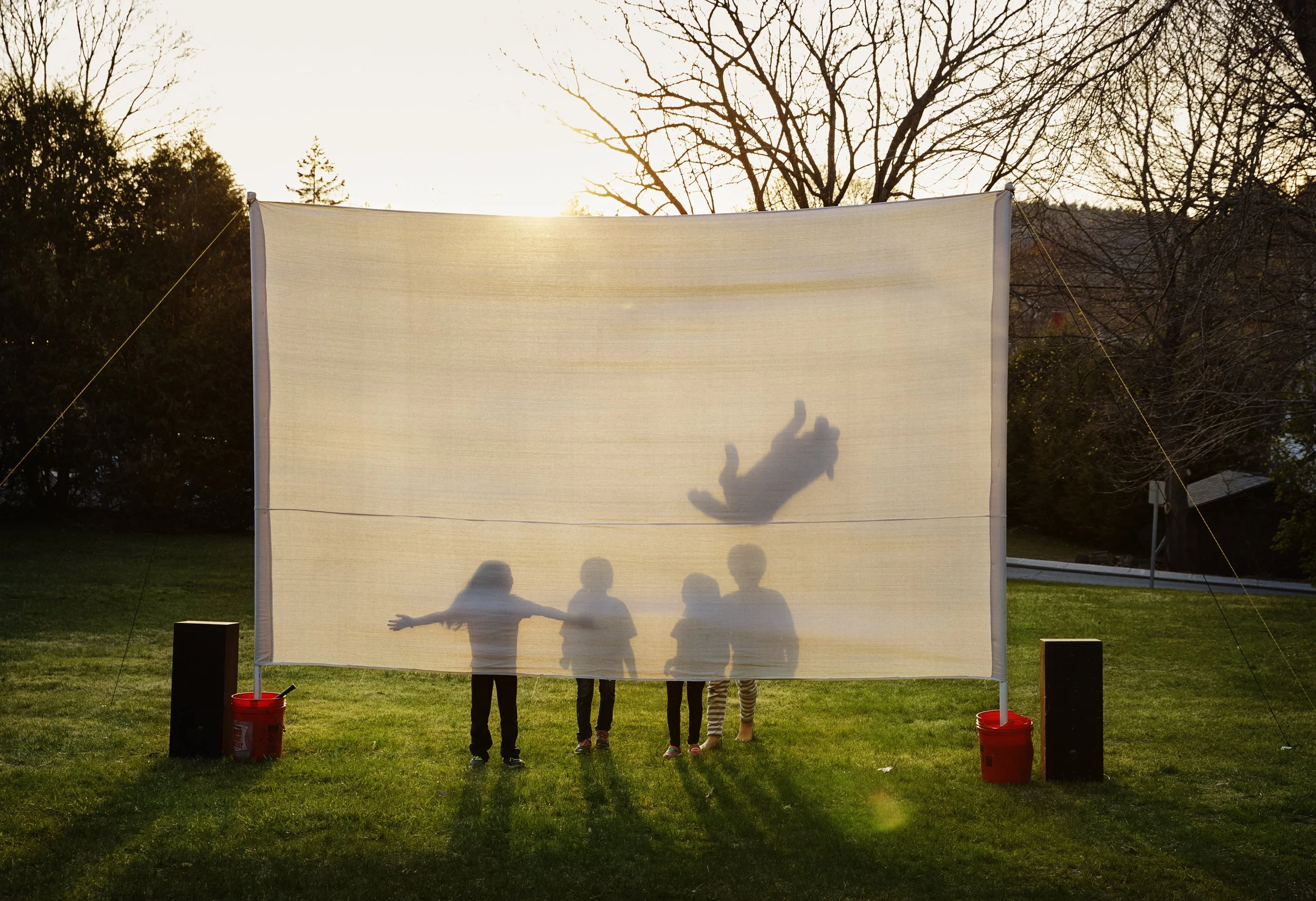 WOLF, from the series Movie Night. © Shawna Gibbs